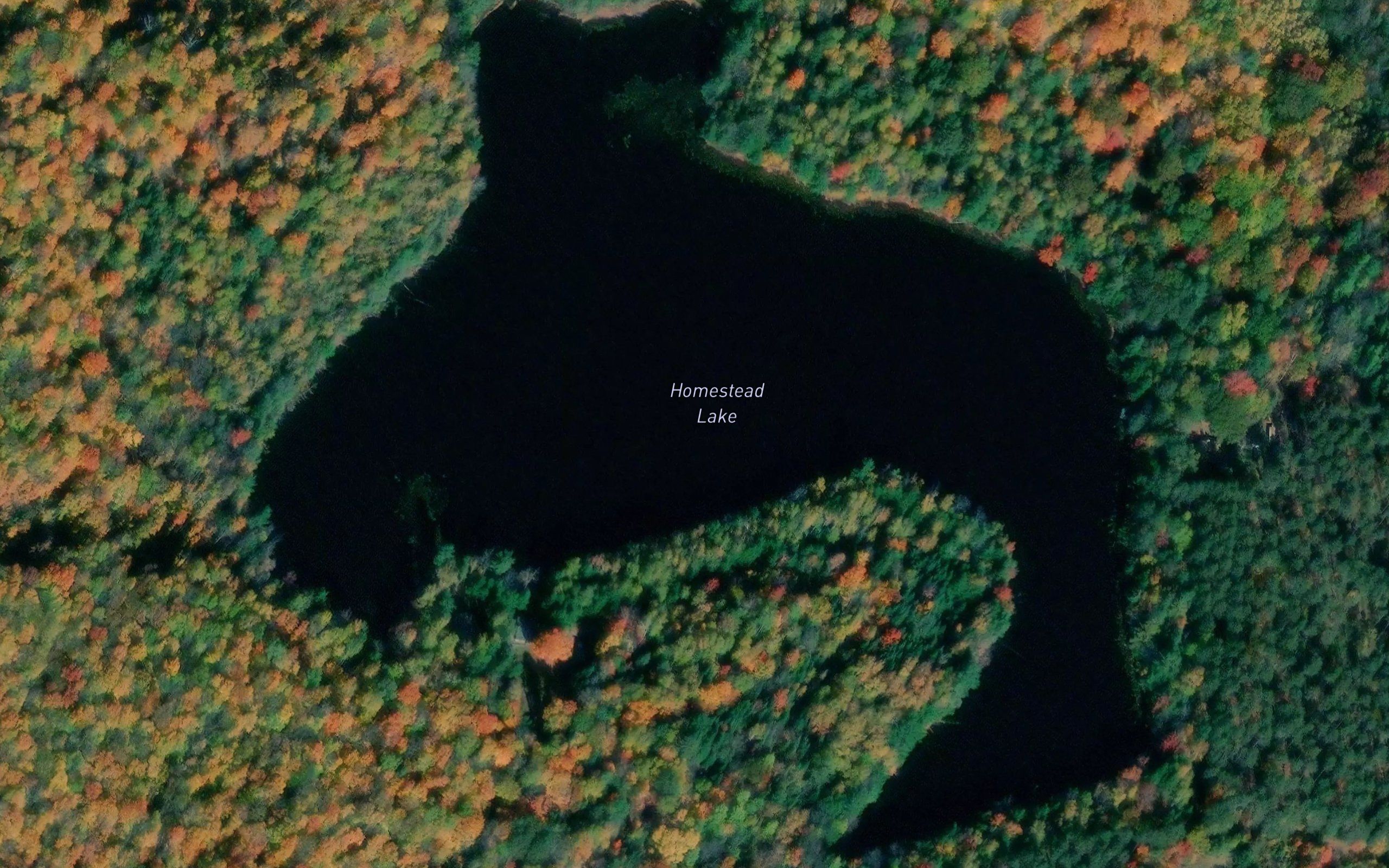 Homestead Lake