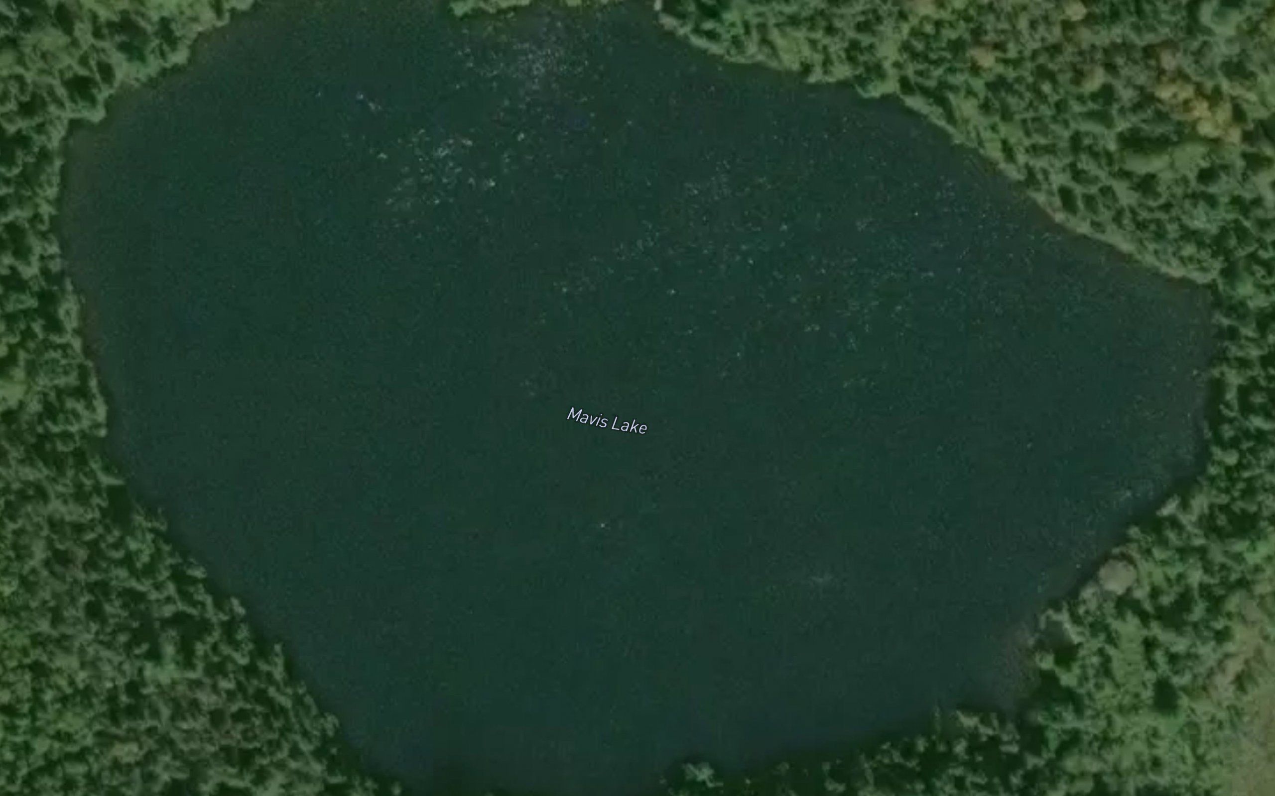 Mavis Lake