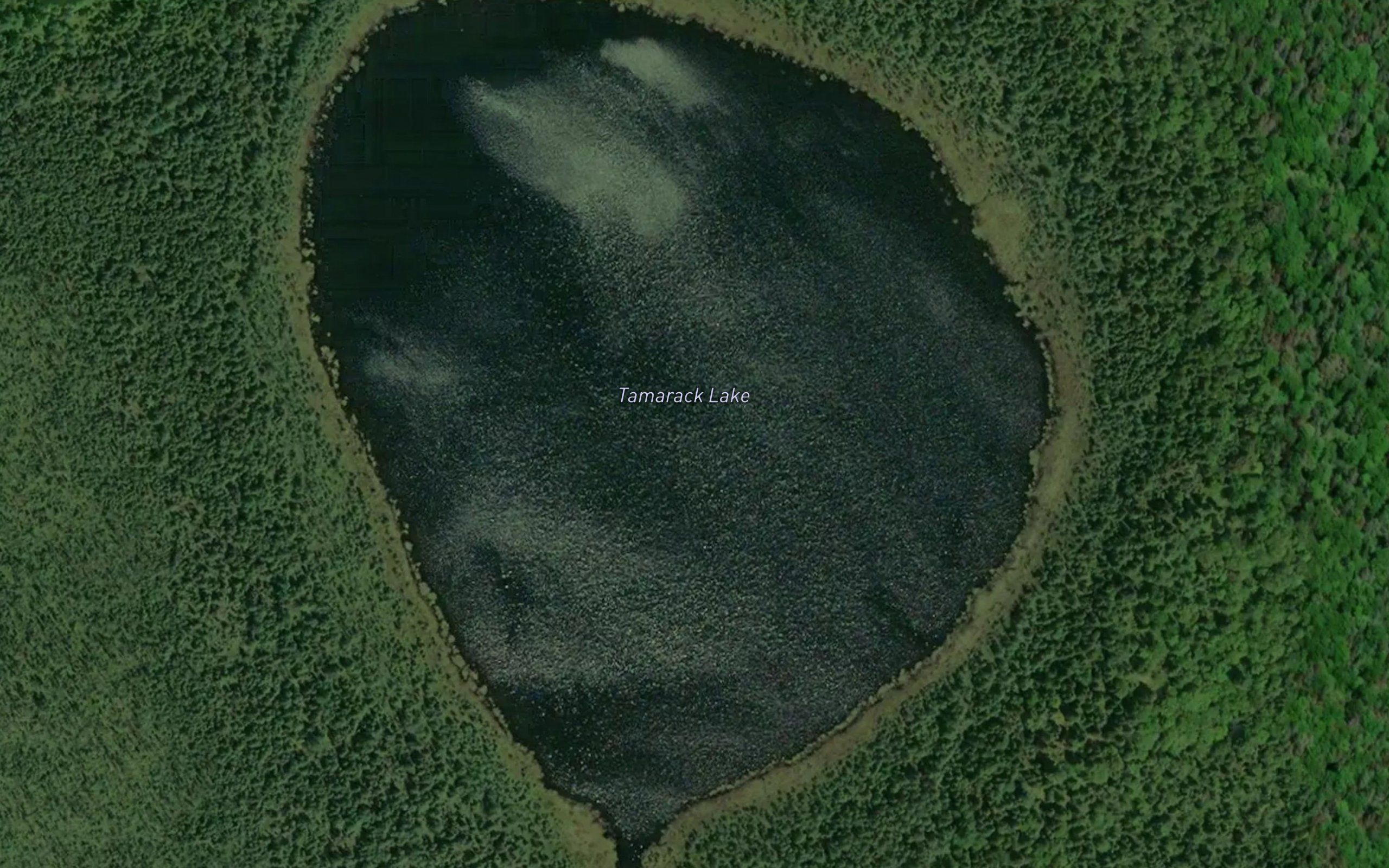 Tamarack Lake