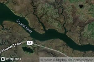 Dolphin Creek