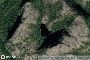 Fjelltjorna