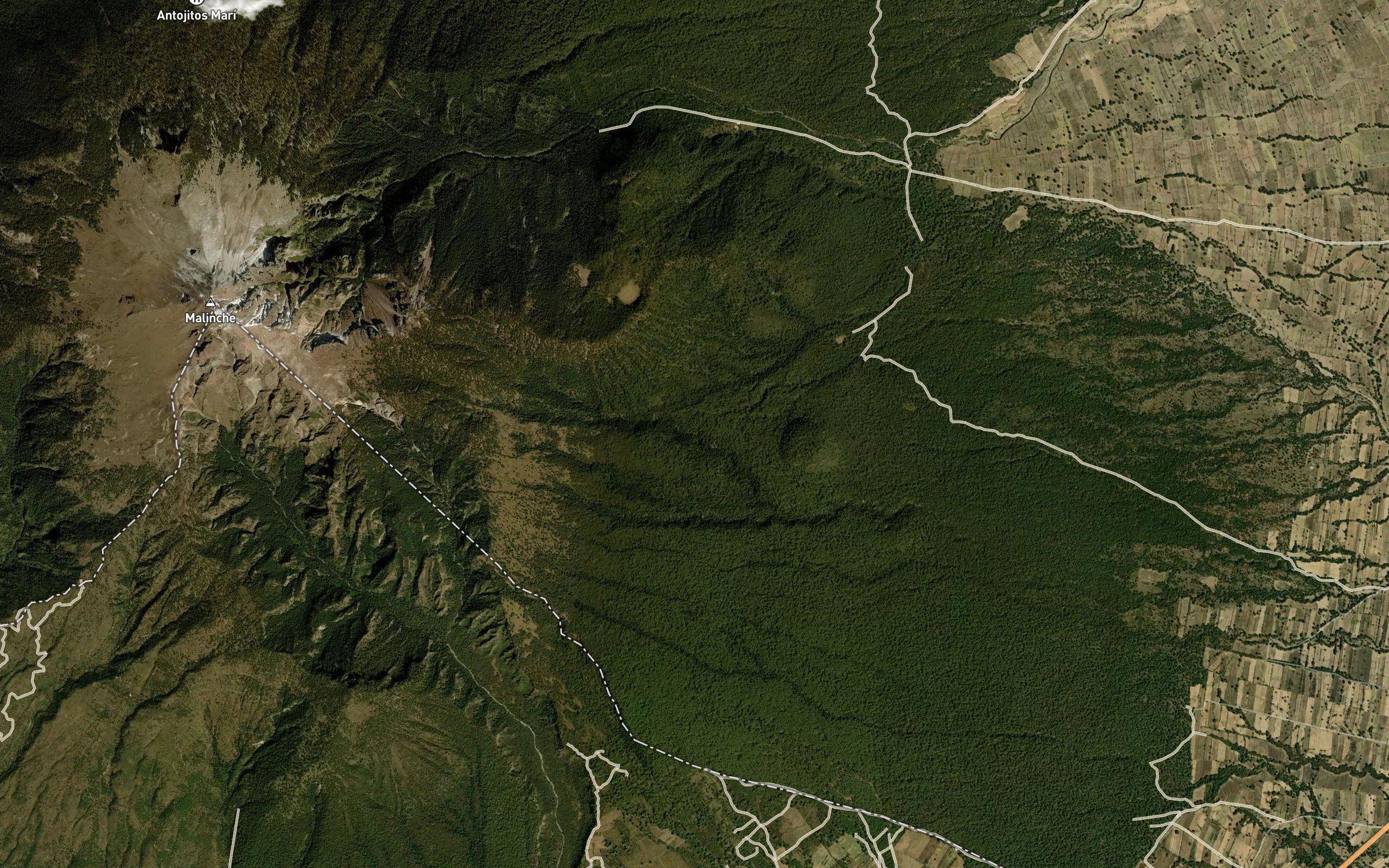 Pinahuetzatl