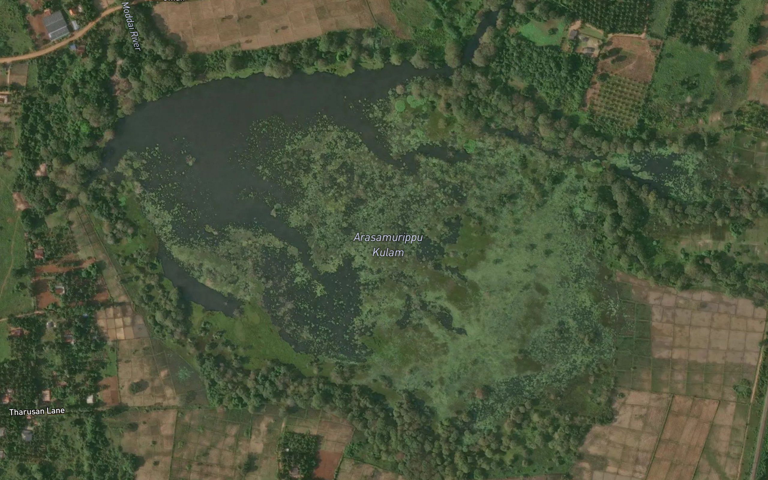 Omantai Kulam