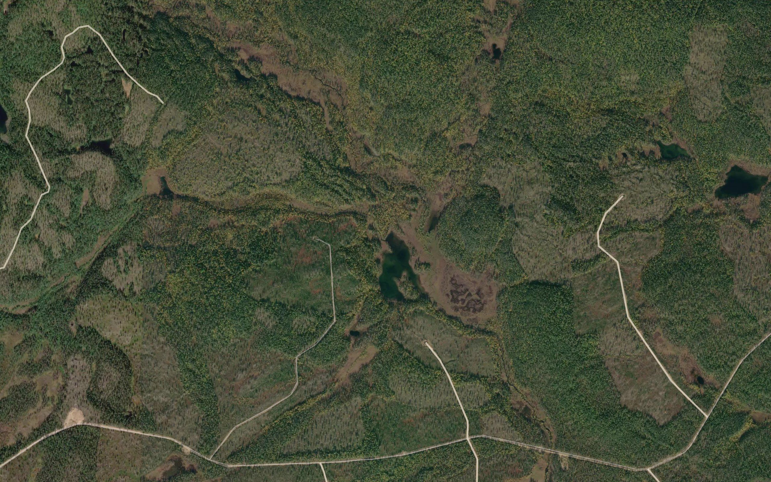 Rytioja