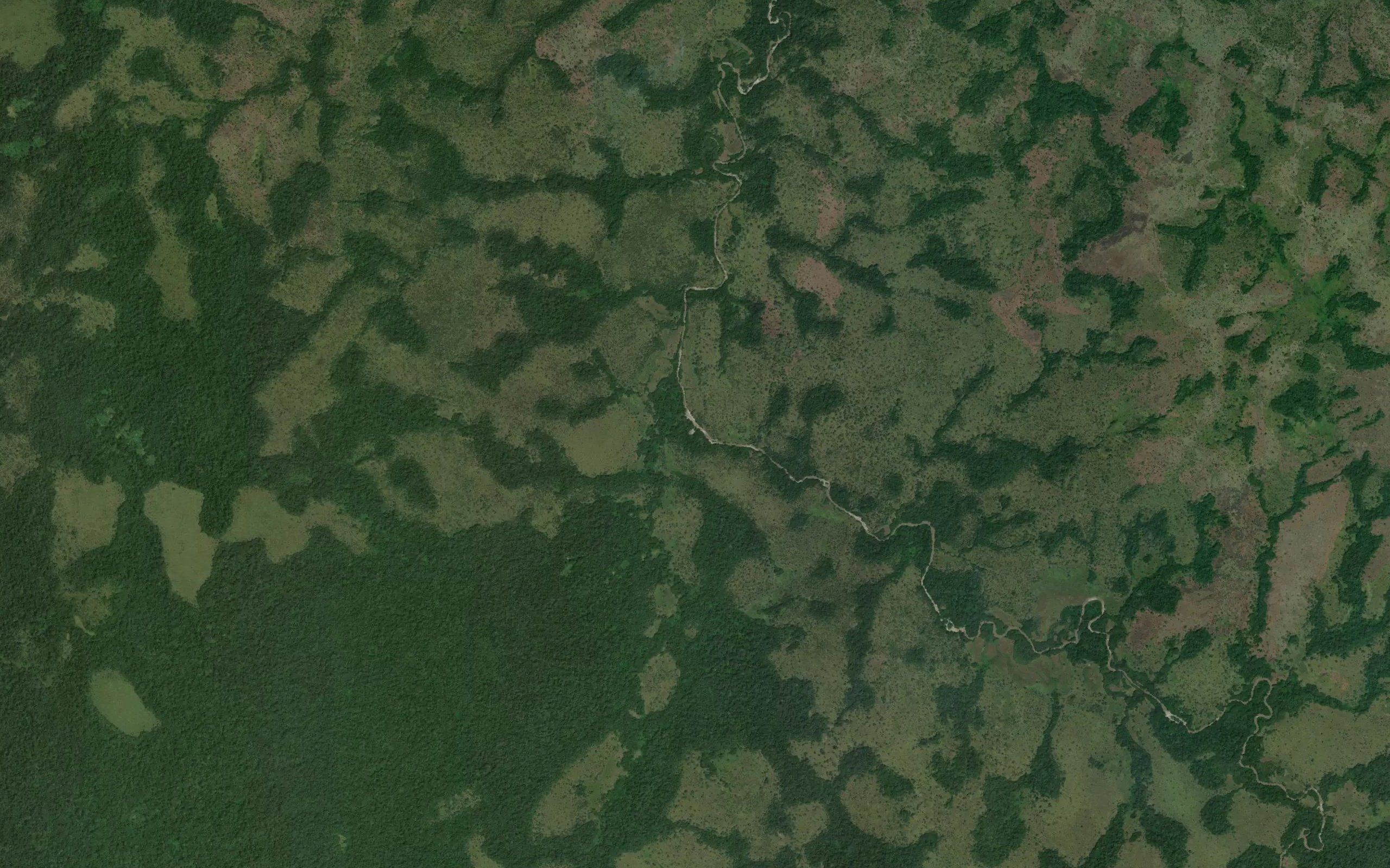 Nadi