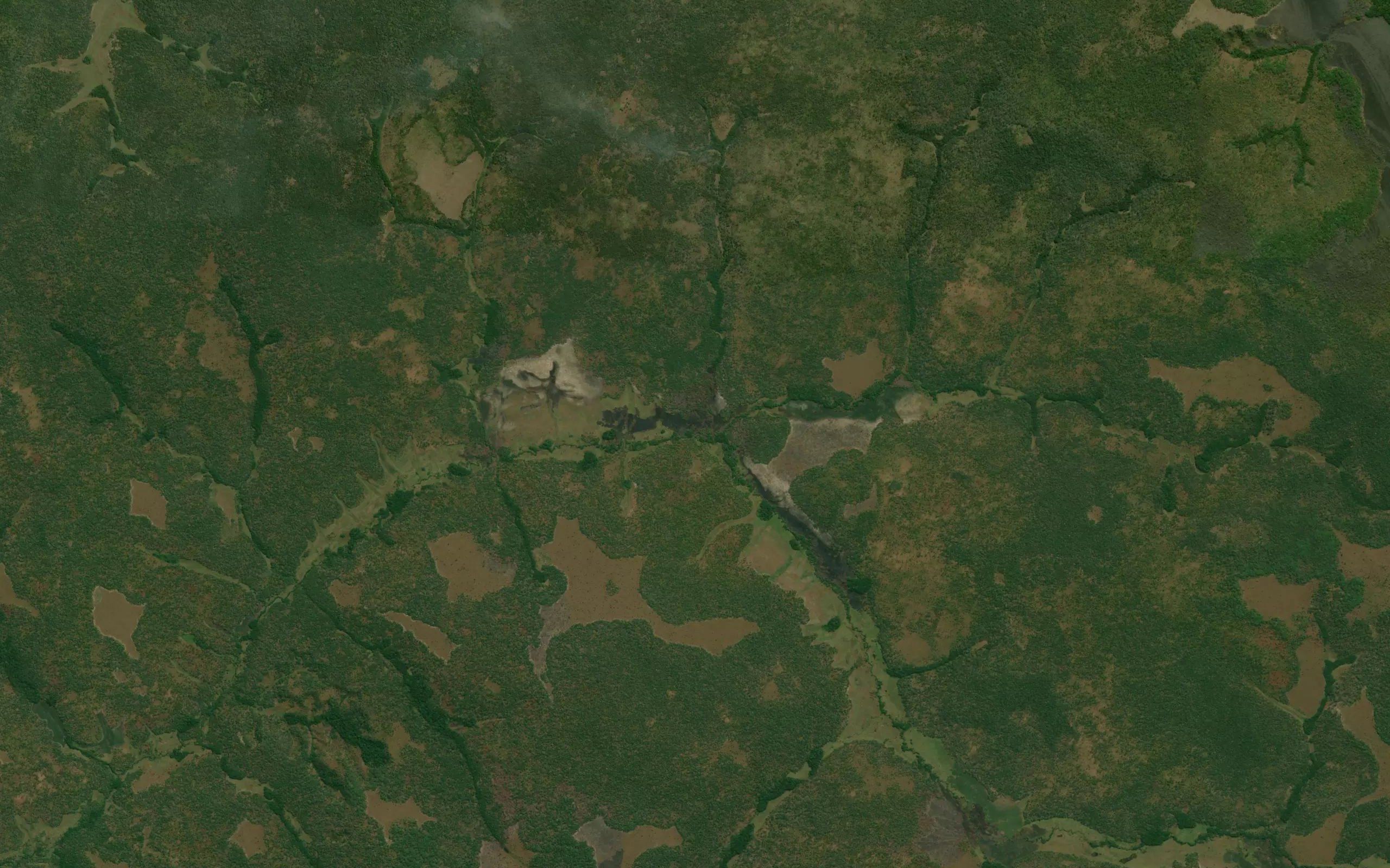 Muingi
