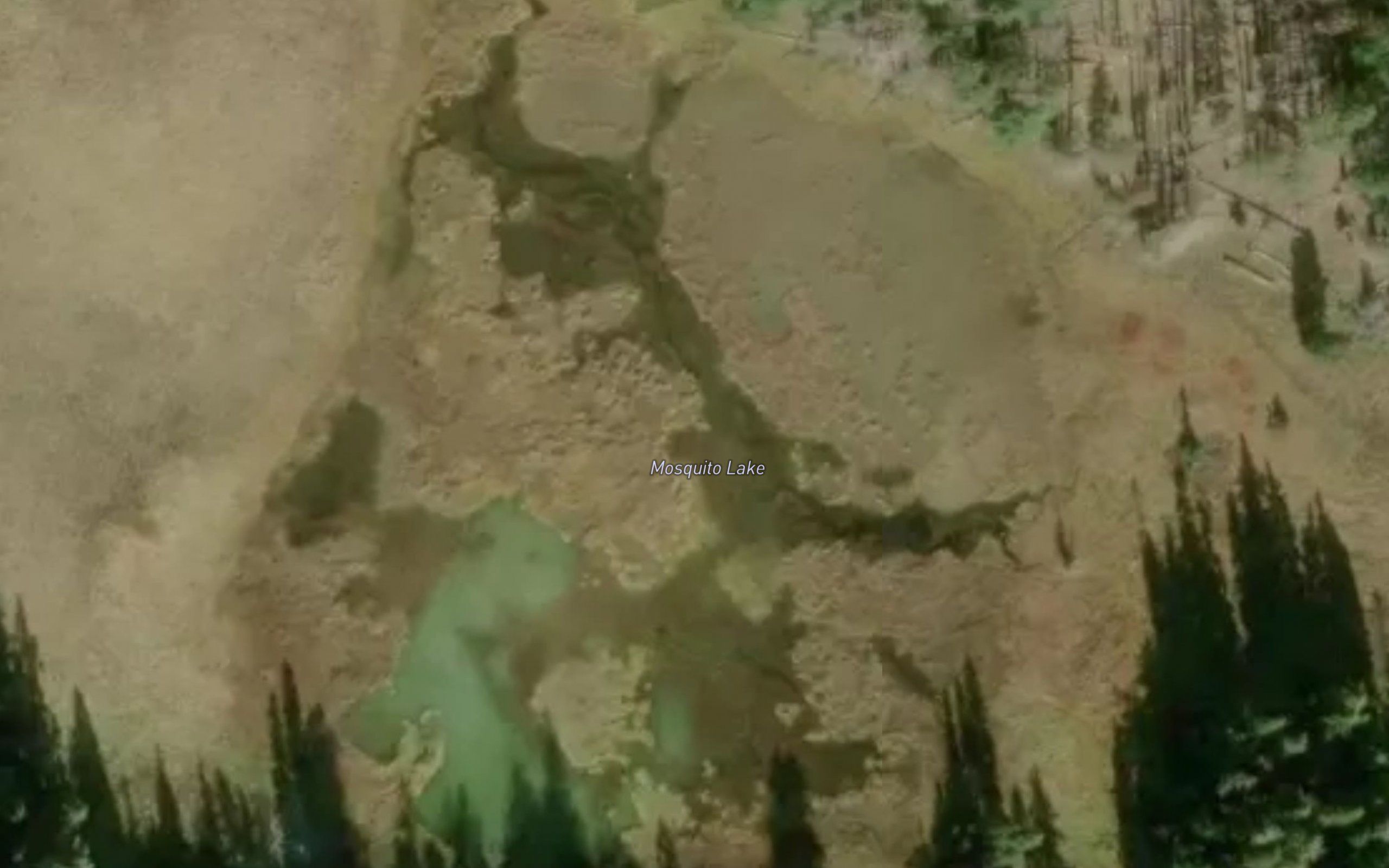 Mosquito Lake