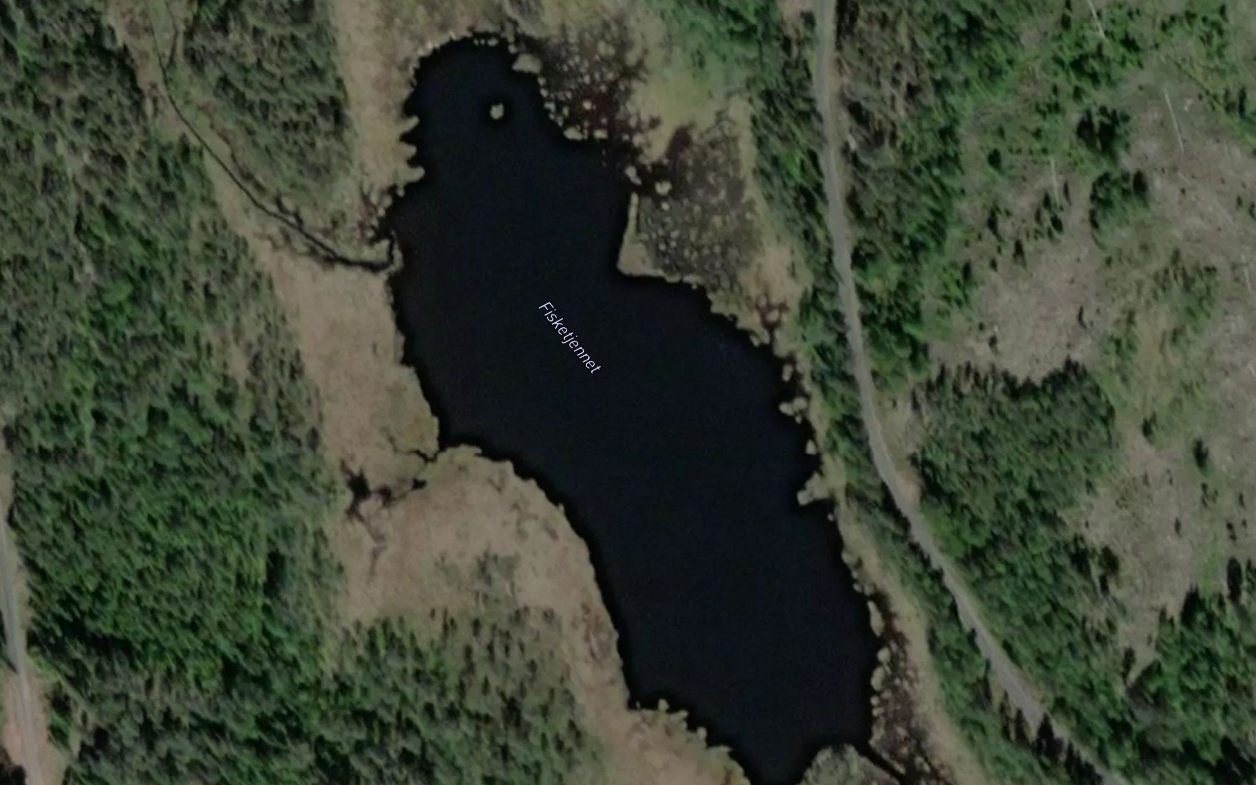 Fisketjernet