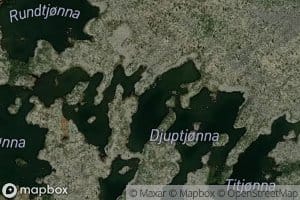 Djuptjorna