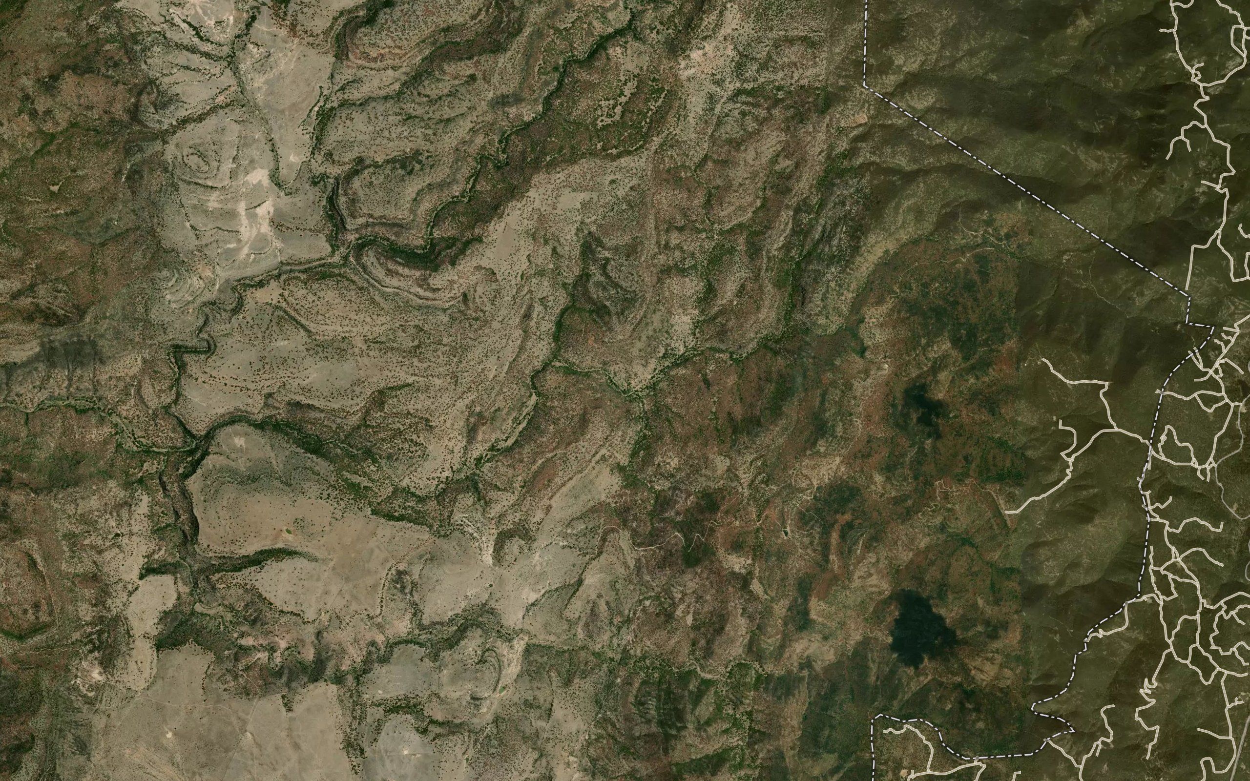 Nuevo Mexico