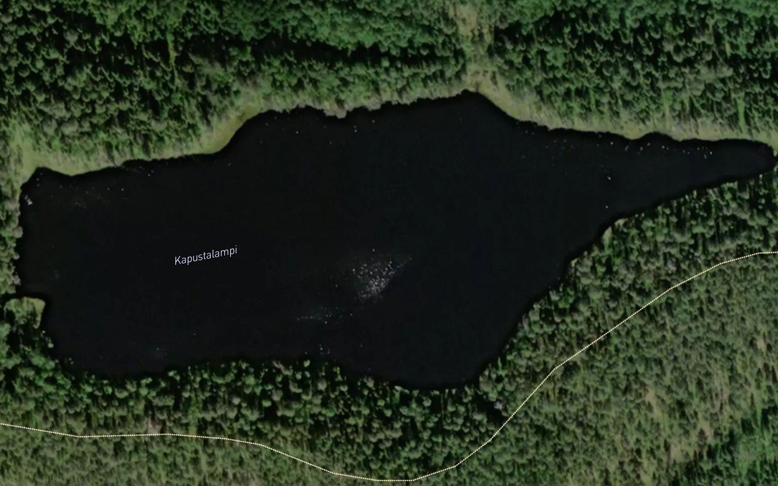 Kapustalampi