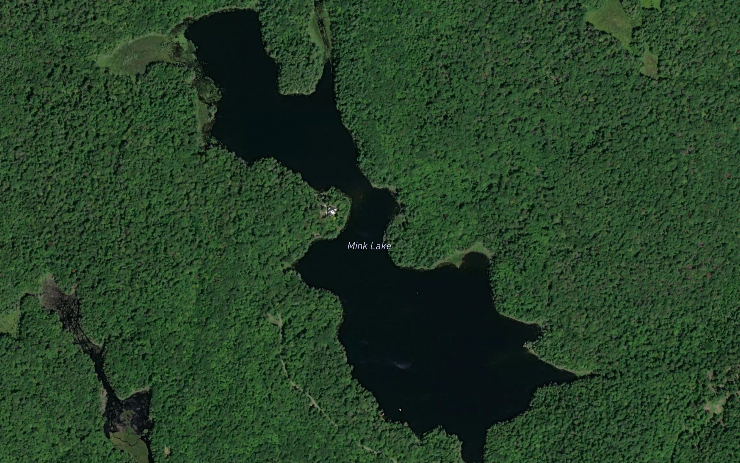 Mink Lake