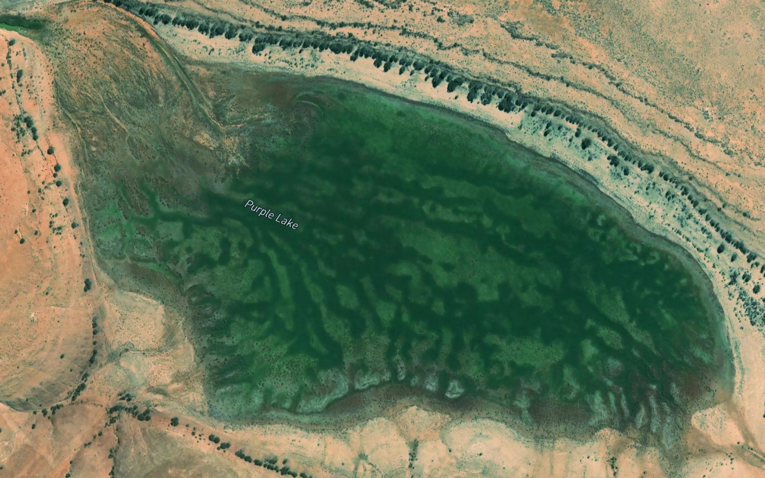 Purple Lake