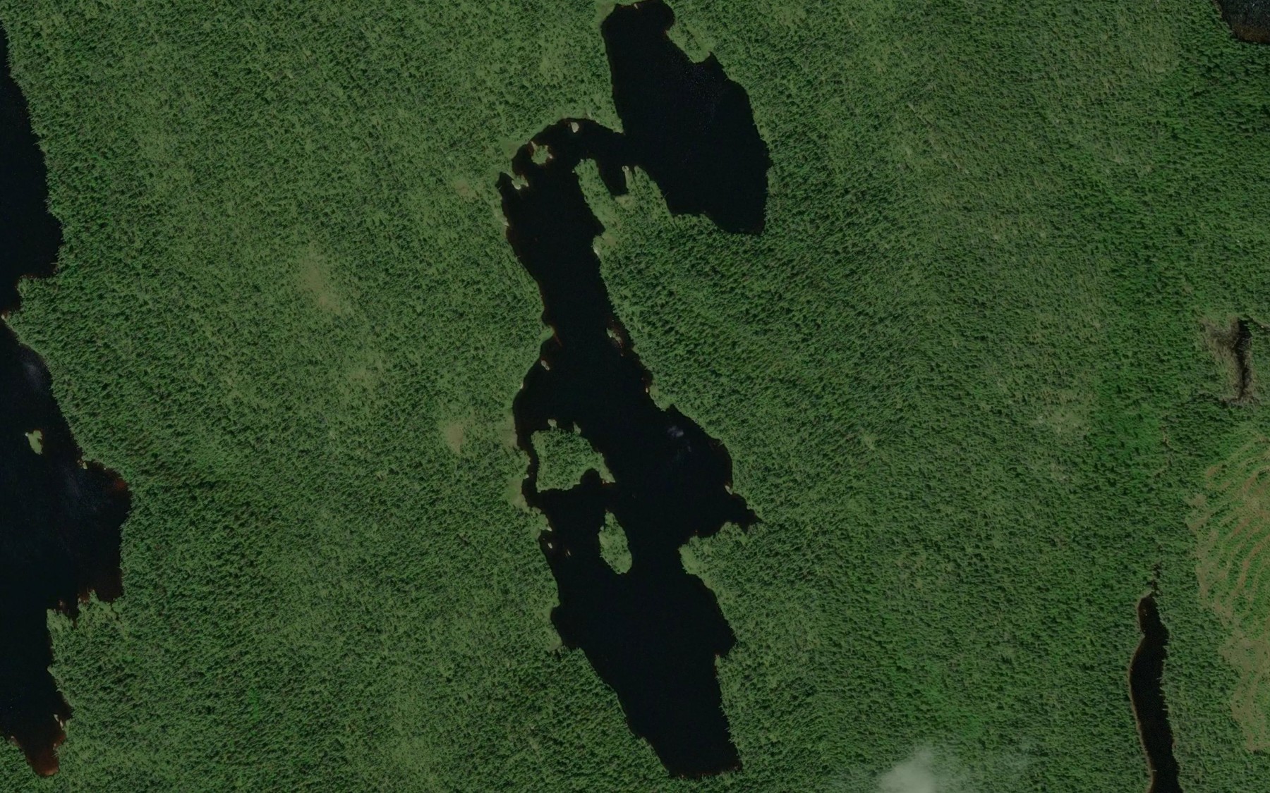 Satellite map of the Lac aux Roches