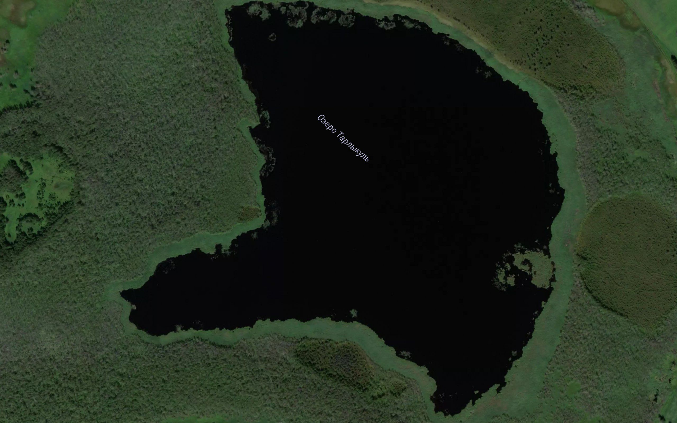 Ozero Tarlykul'