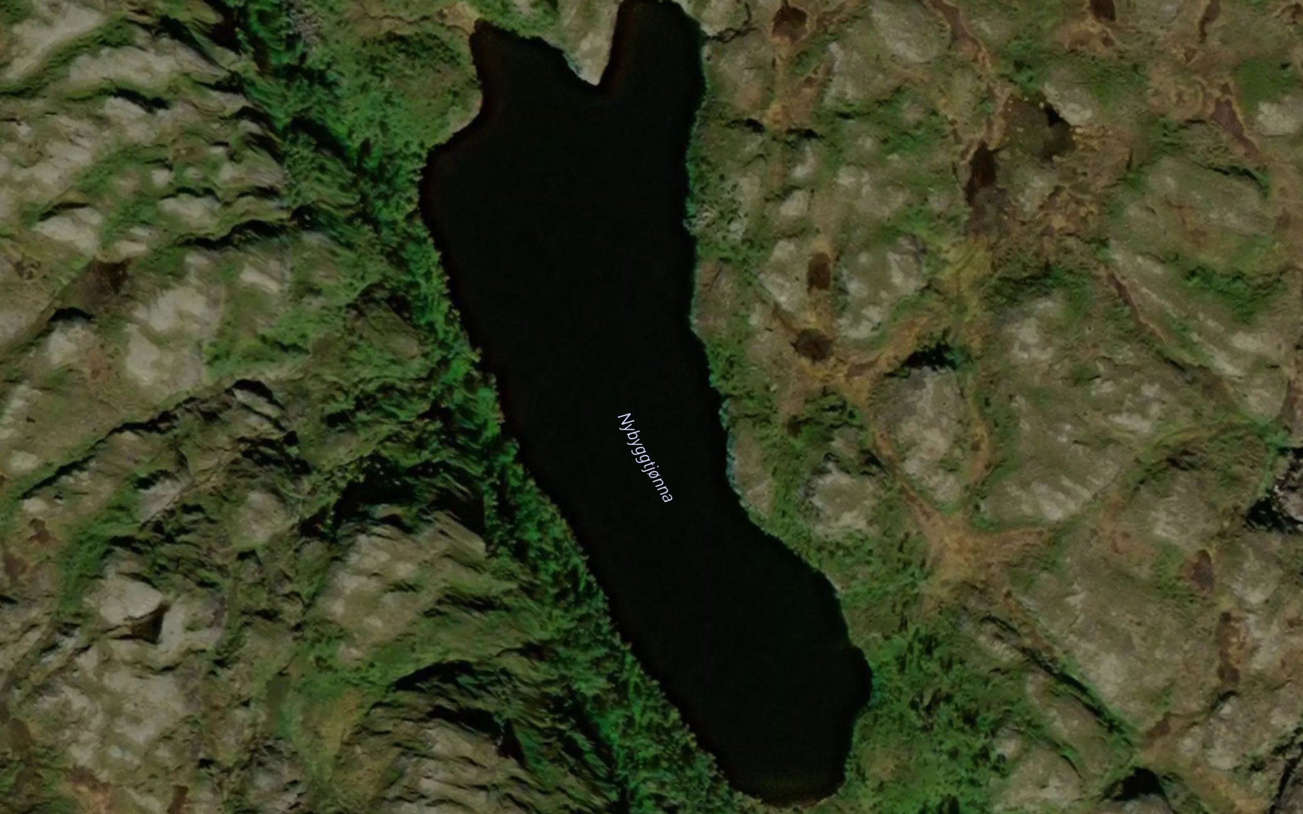 Nybyggtjonna