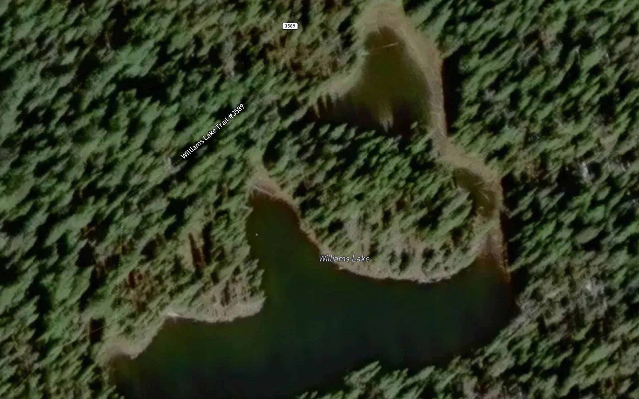 Williams Lake