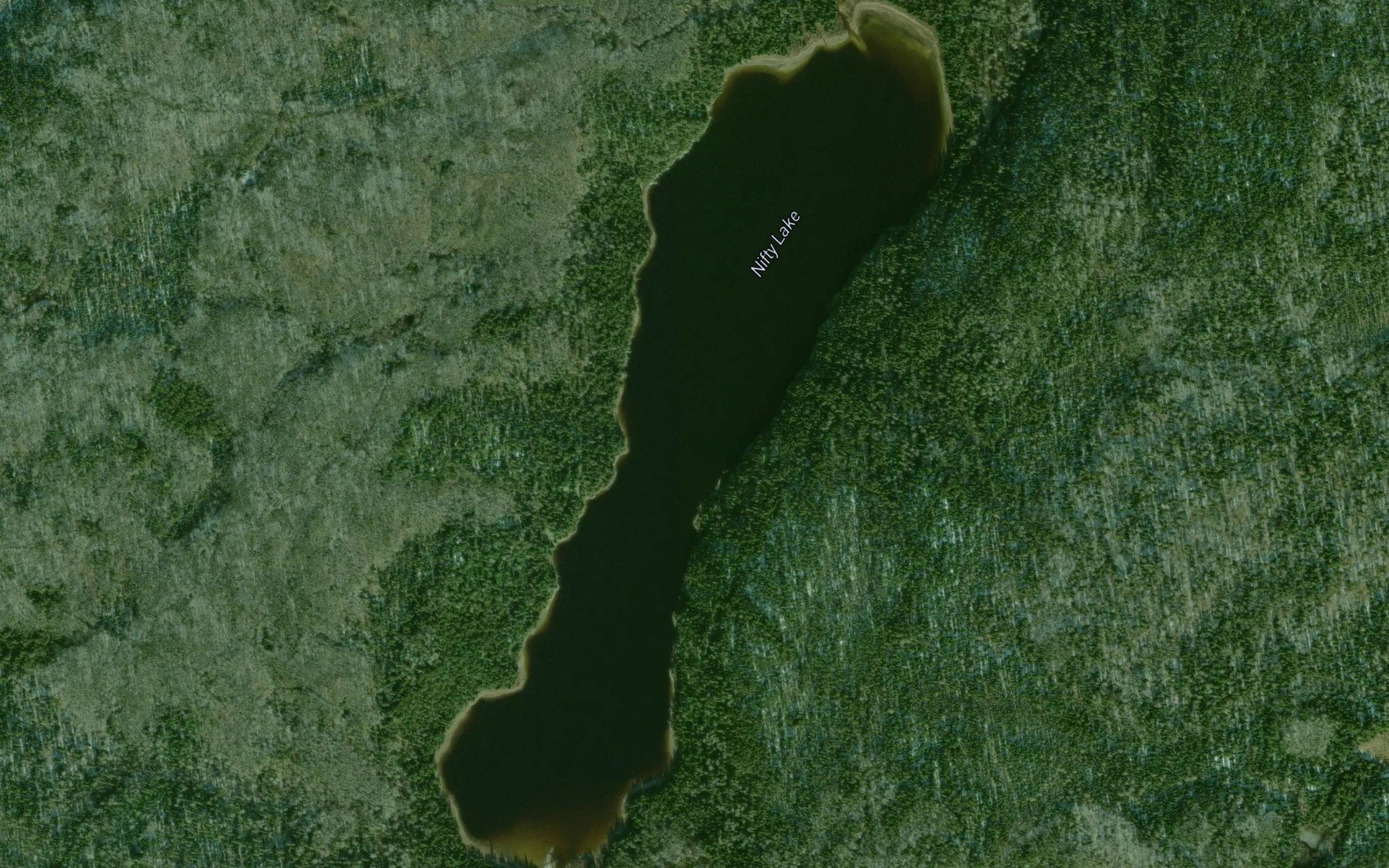 Satellite map of the Nifty Lake
