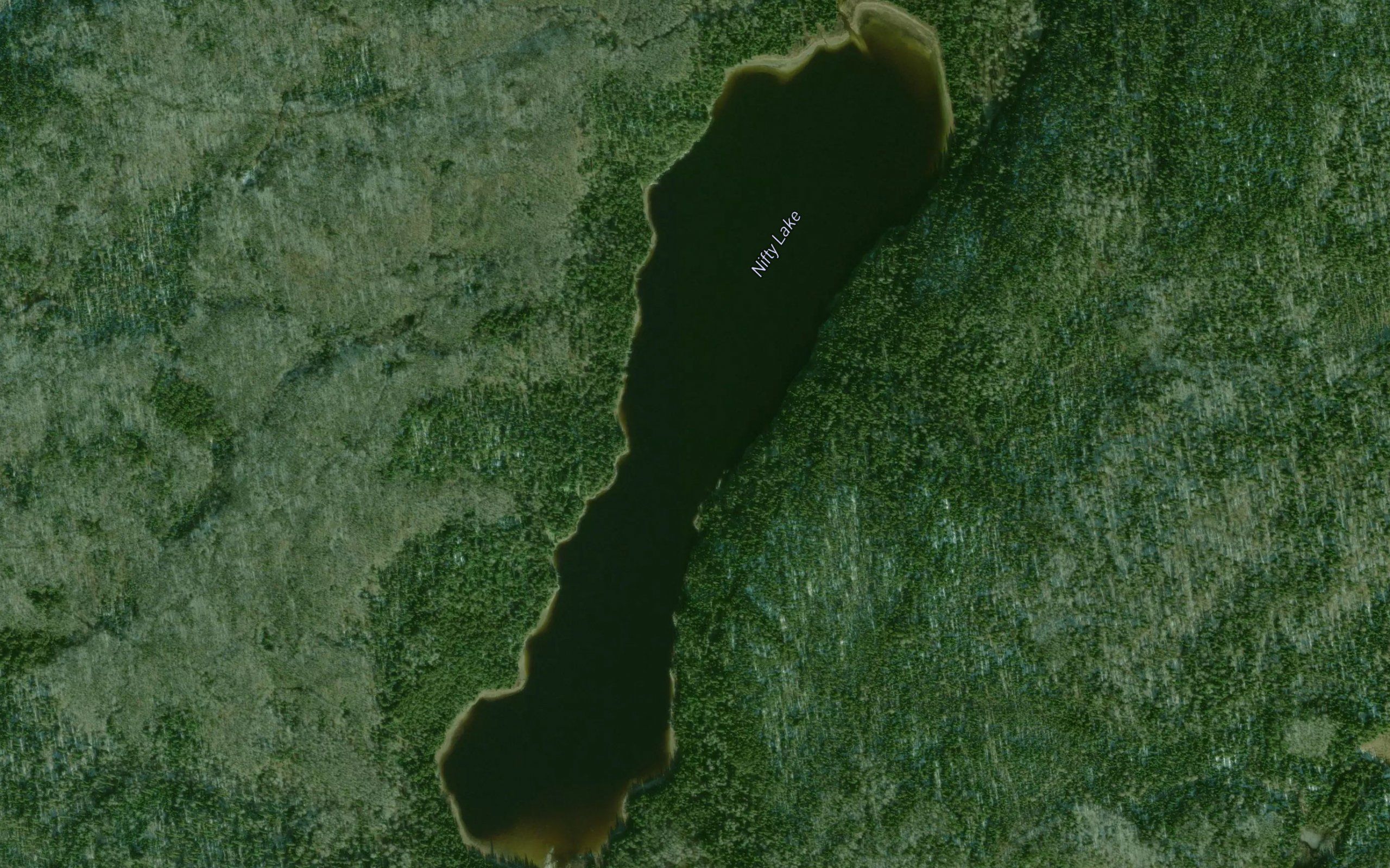 Nifty Lake