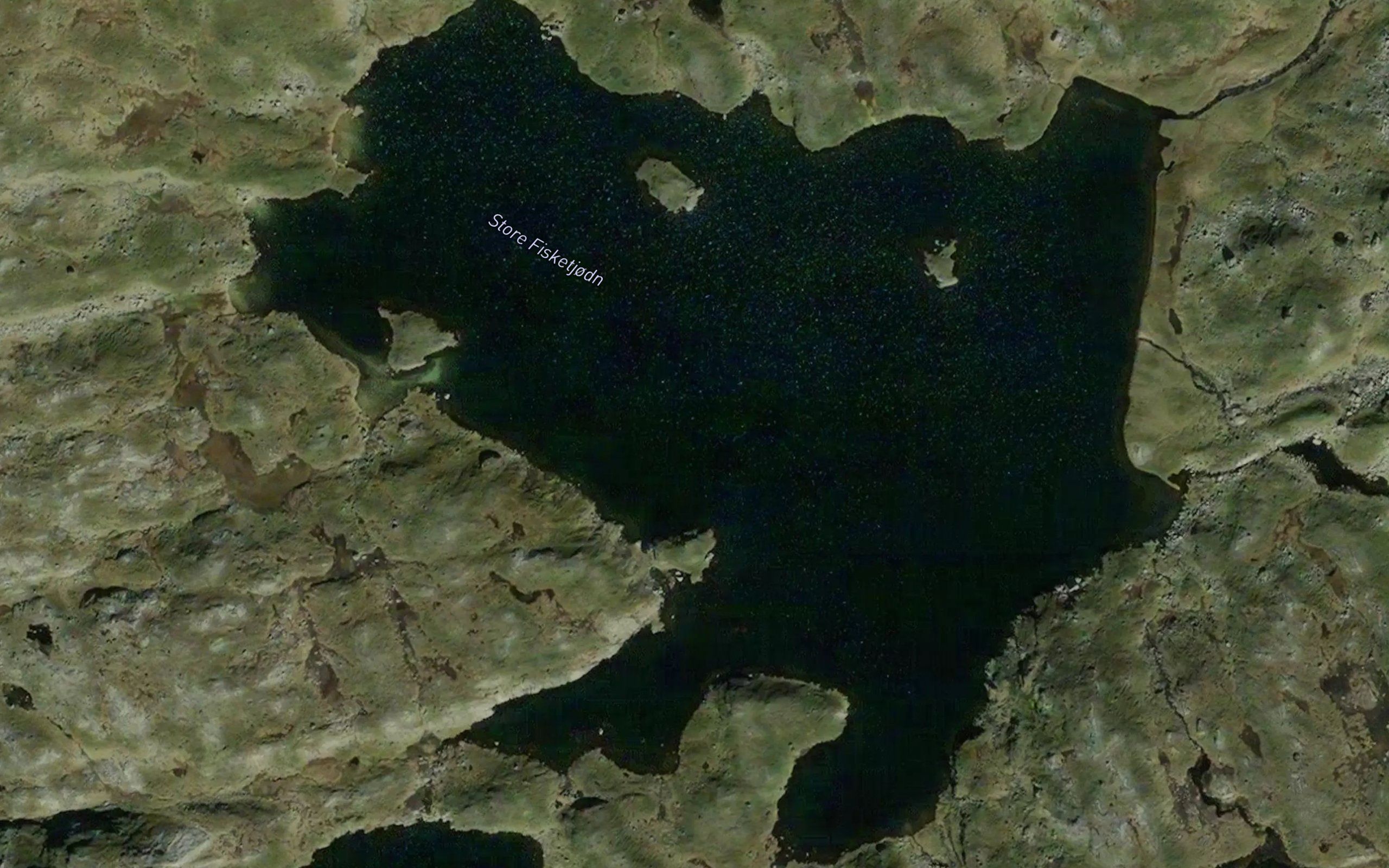 Fisketjorn,stora