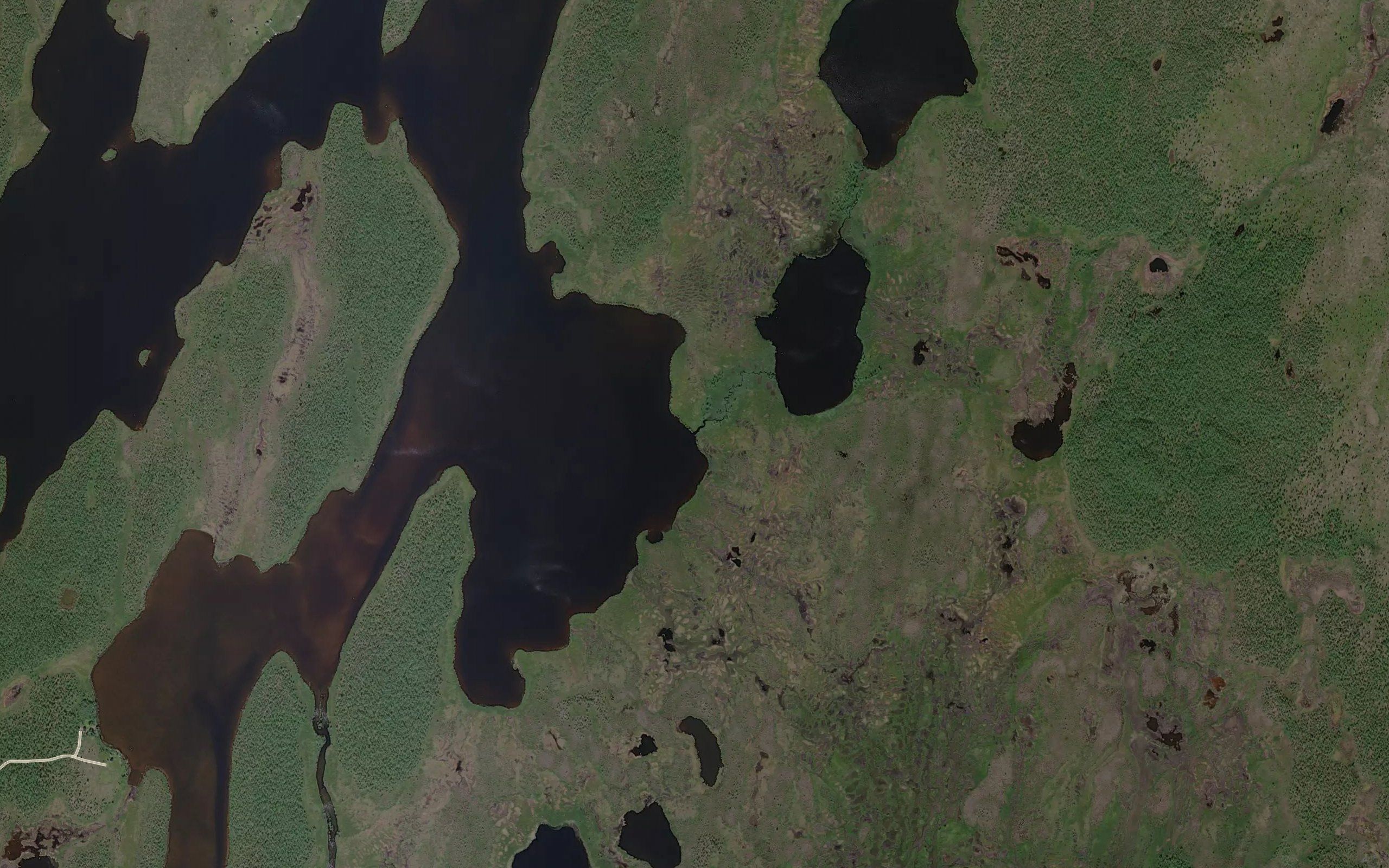 Kiesjoki
