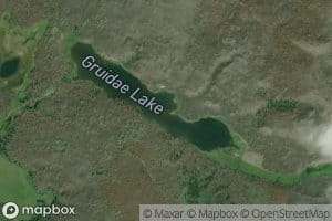Gruidae Lake