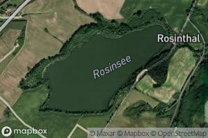Rosinsee