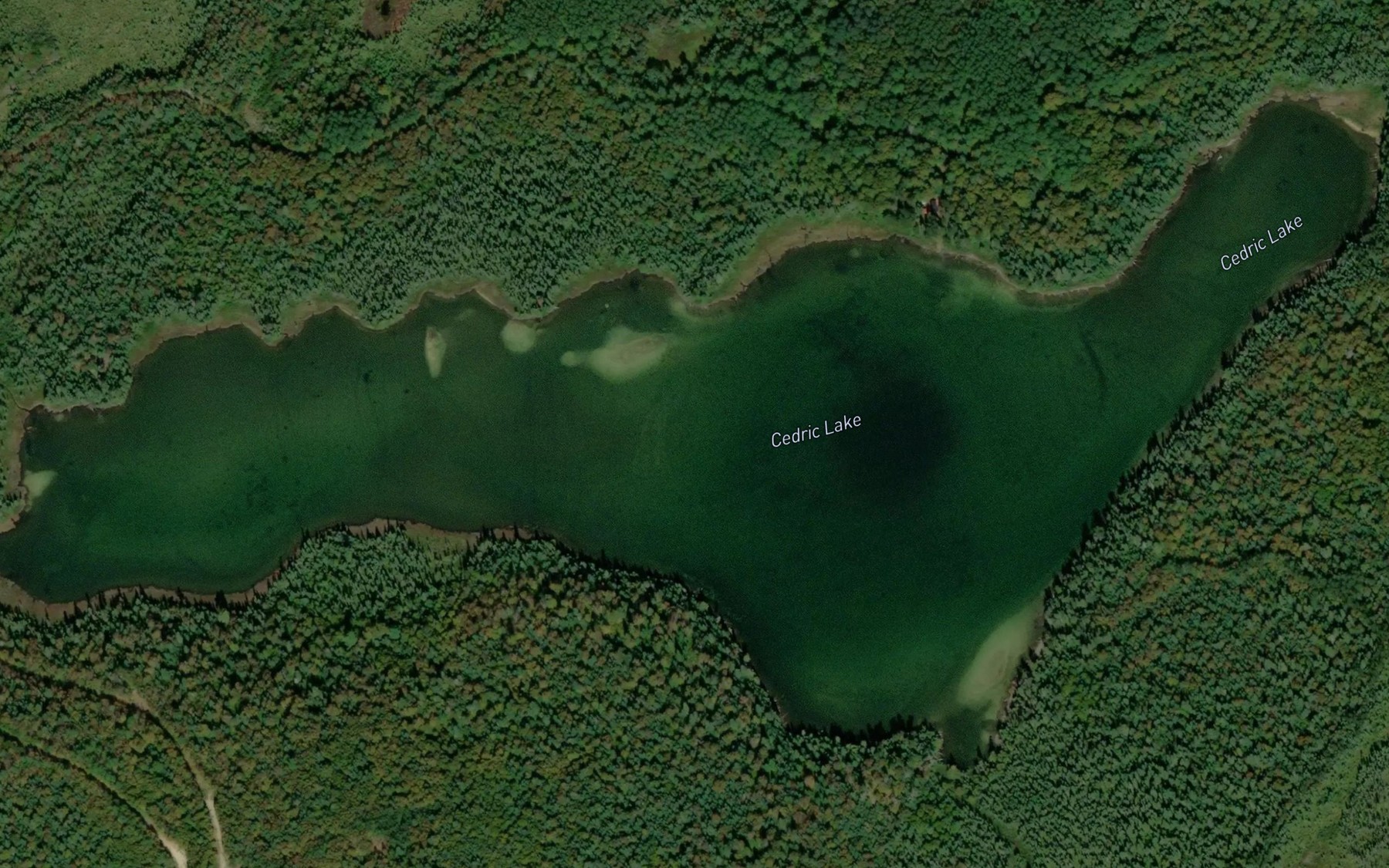 Satellite map of the Cedric Lake