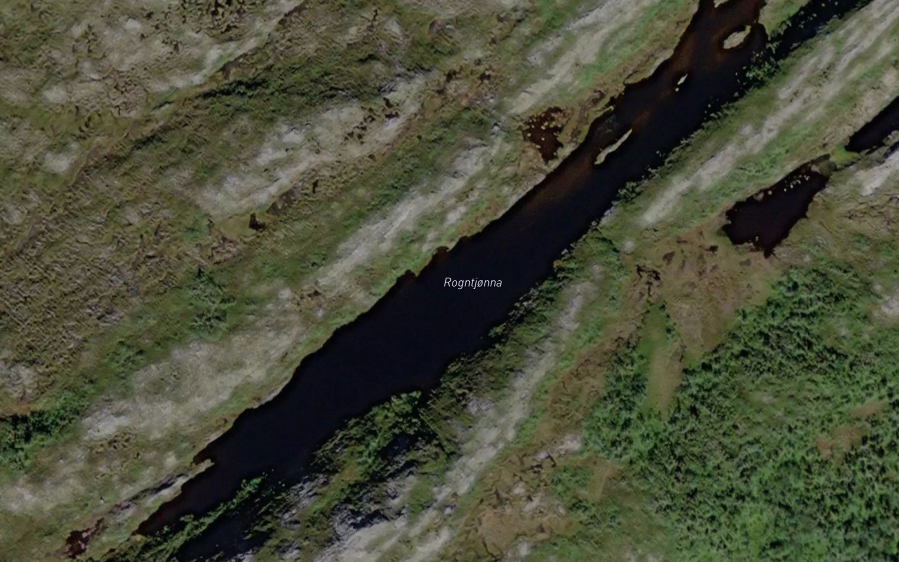 Satellite map of the Rogntjorna