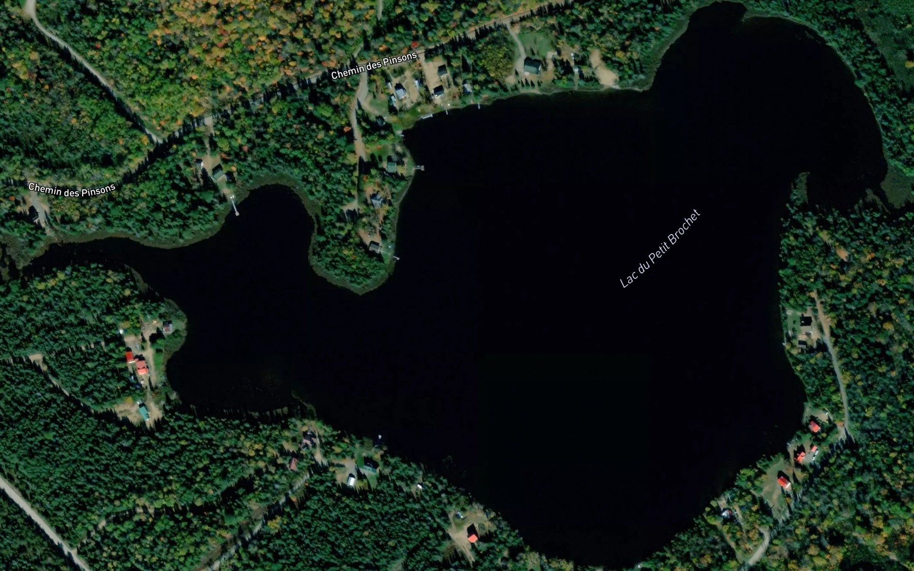 Satellite map of the Lac du Petit Brochet