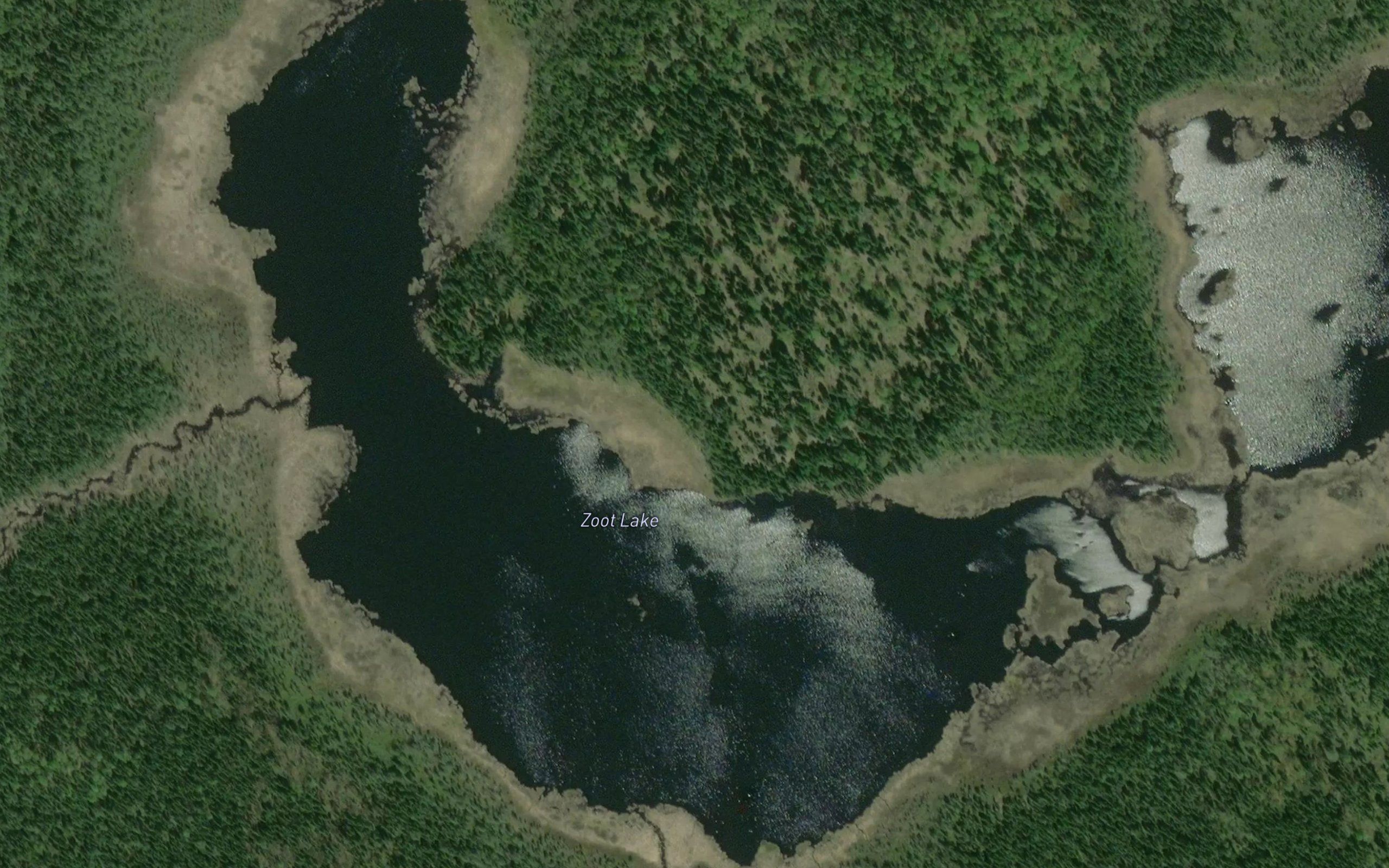 Zoot Lake