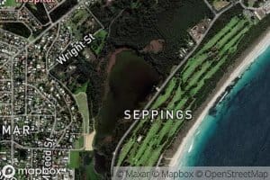 Lake Seppings