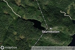 Skurvekolltjern