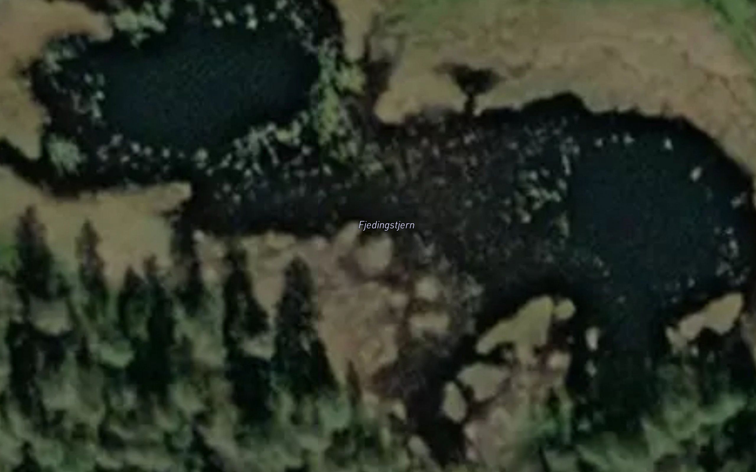 Fjedingstjern