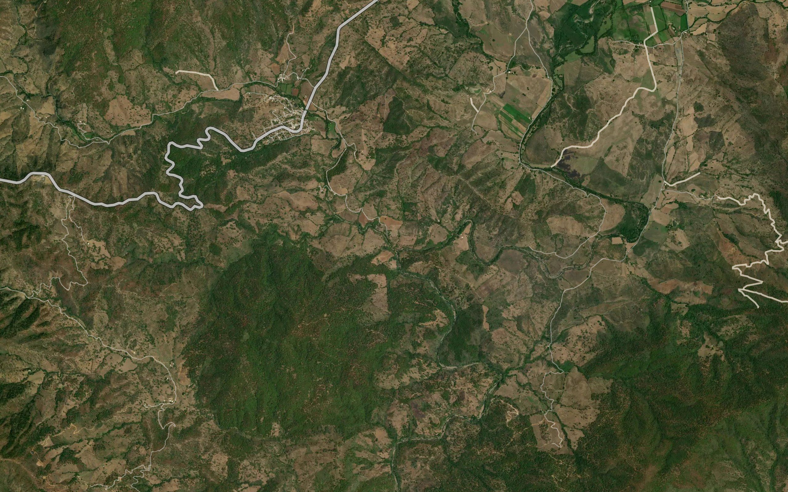 Chichihua