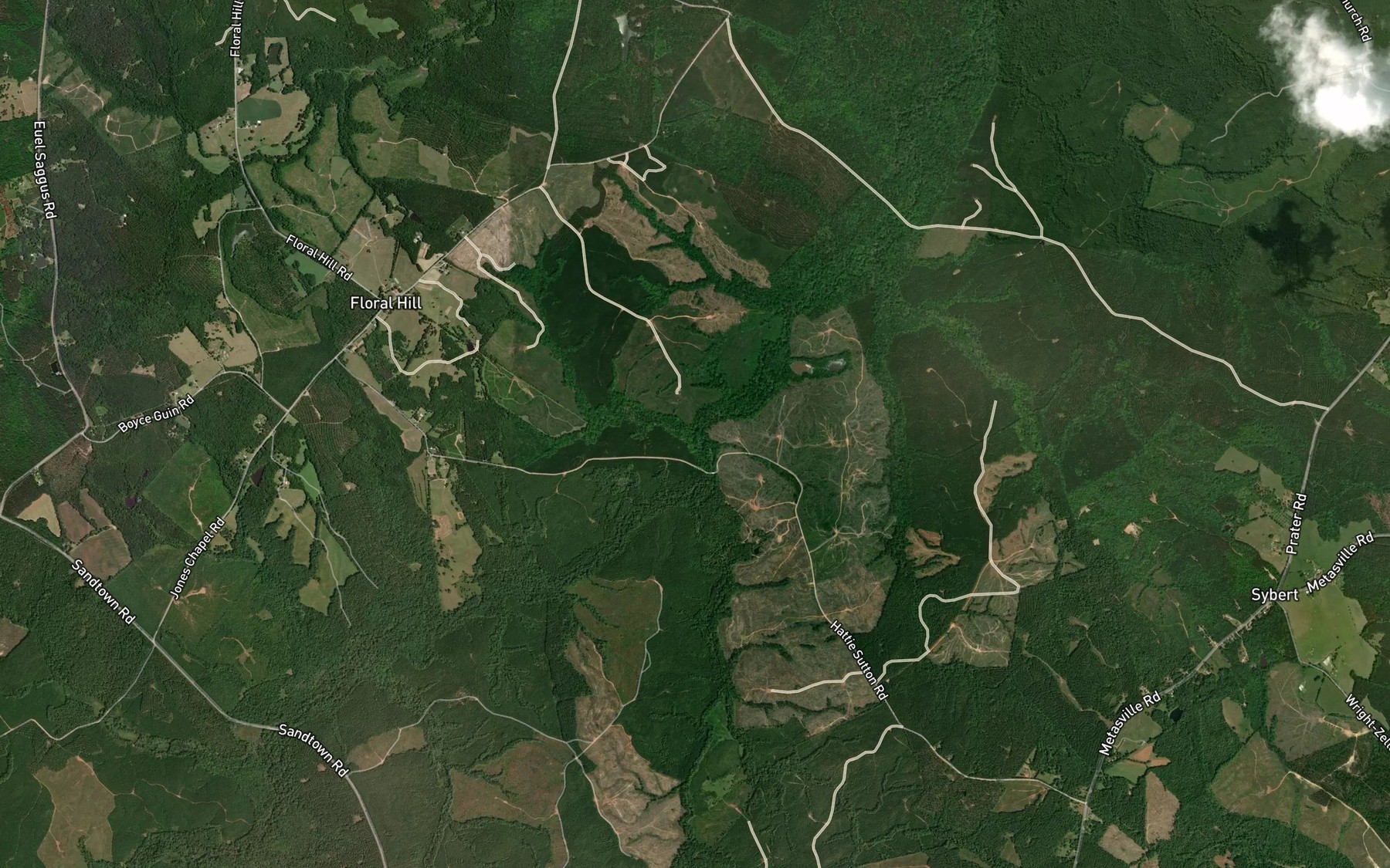 Satellite map of the Wolf Branch