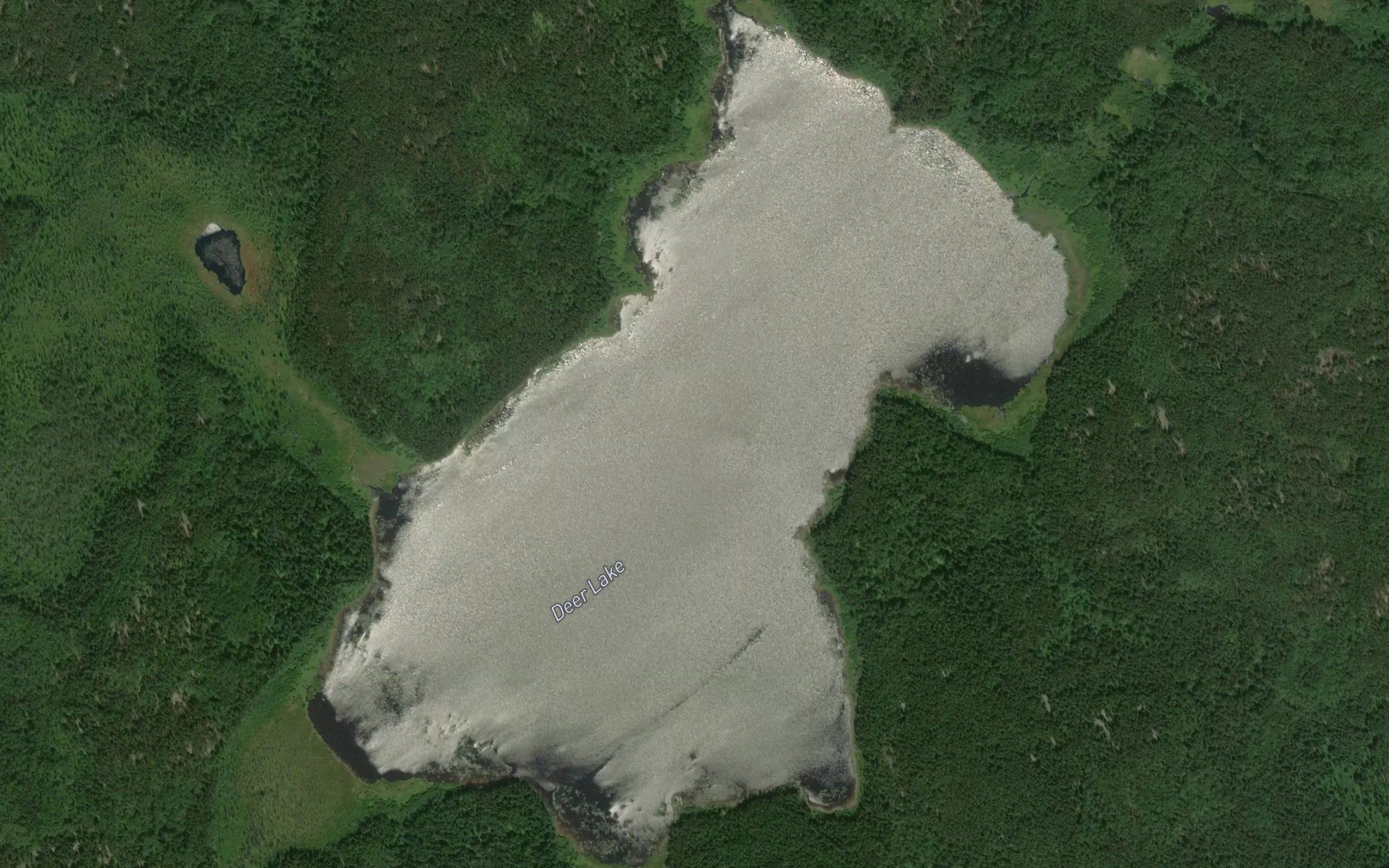 Deer Lake