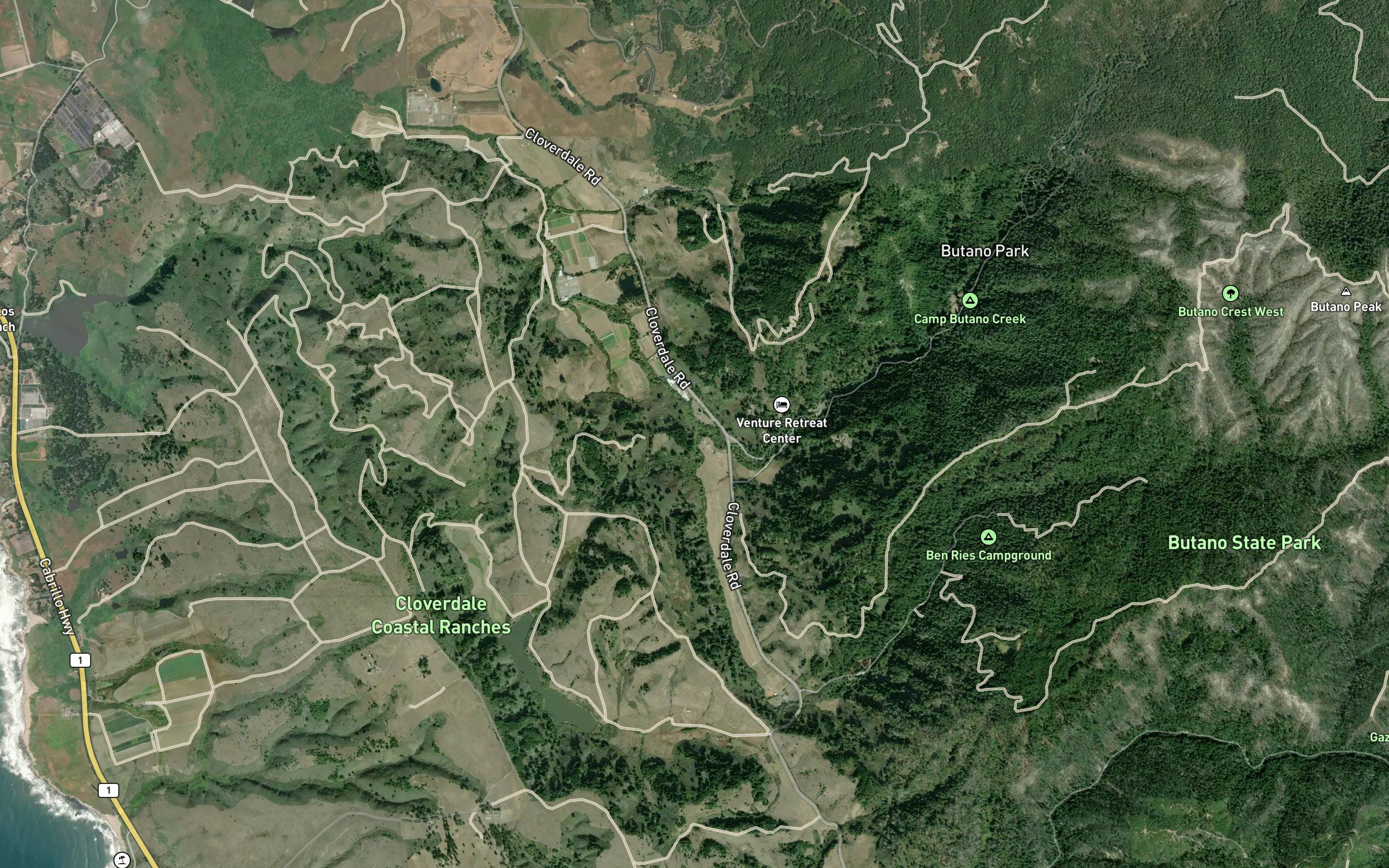 Little Butano Creek
