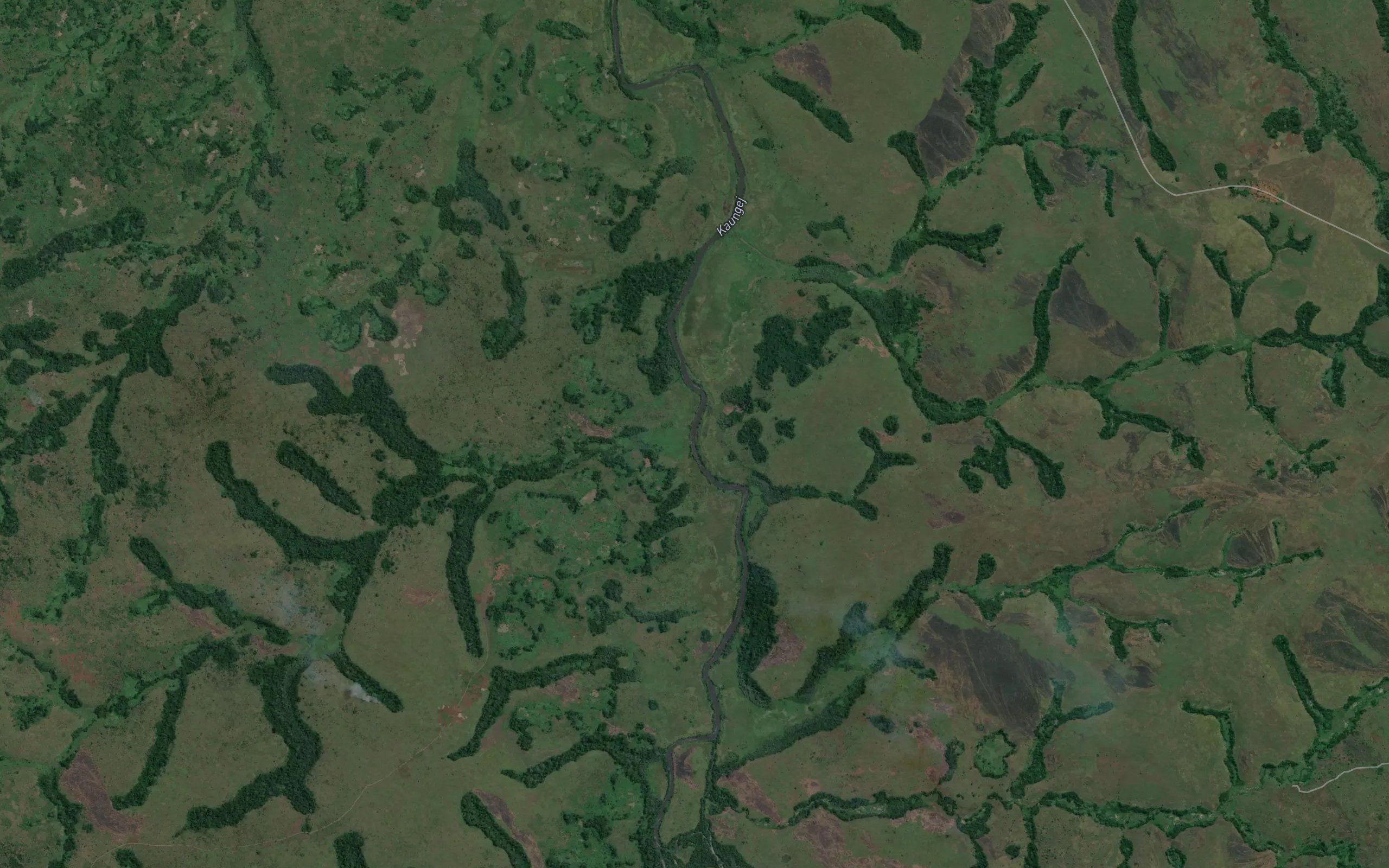 Mungunu