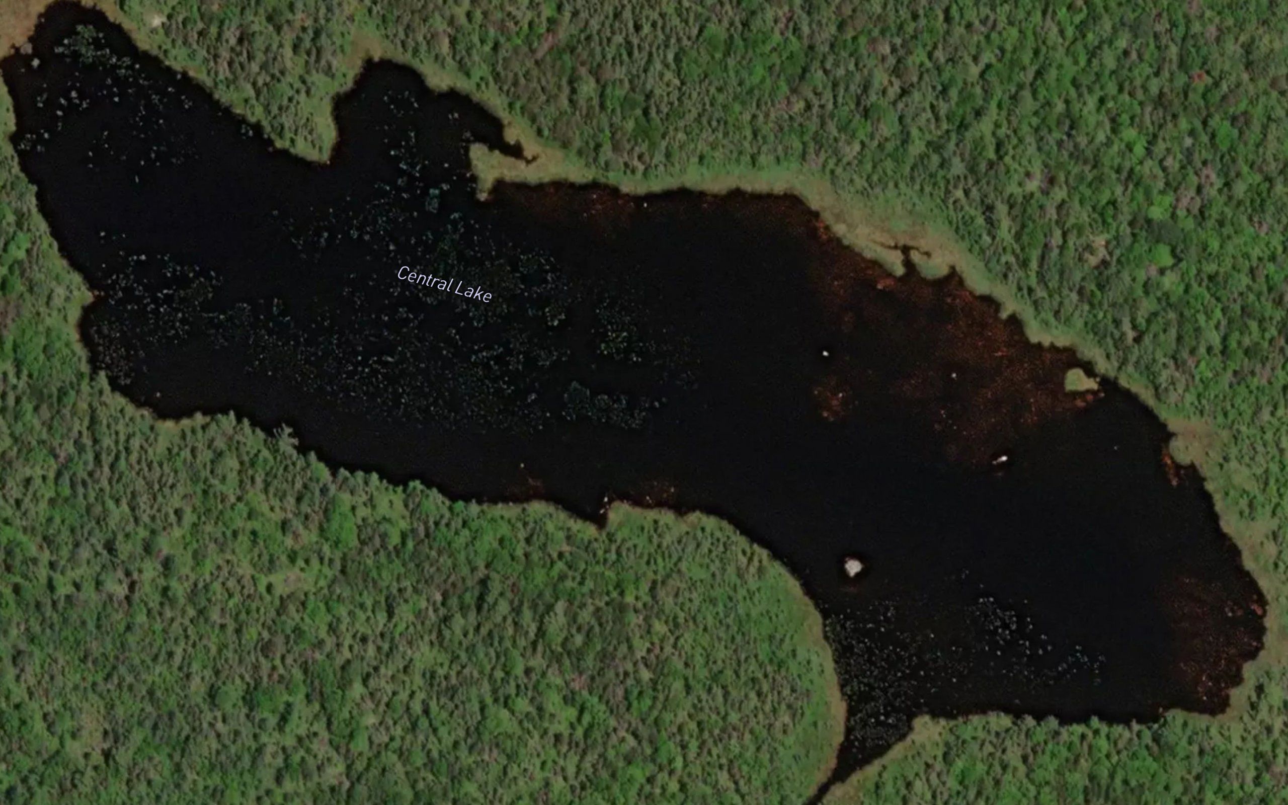 Central Lake