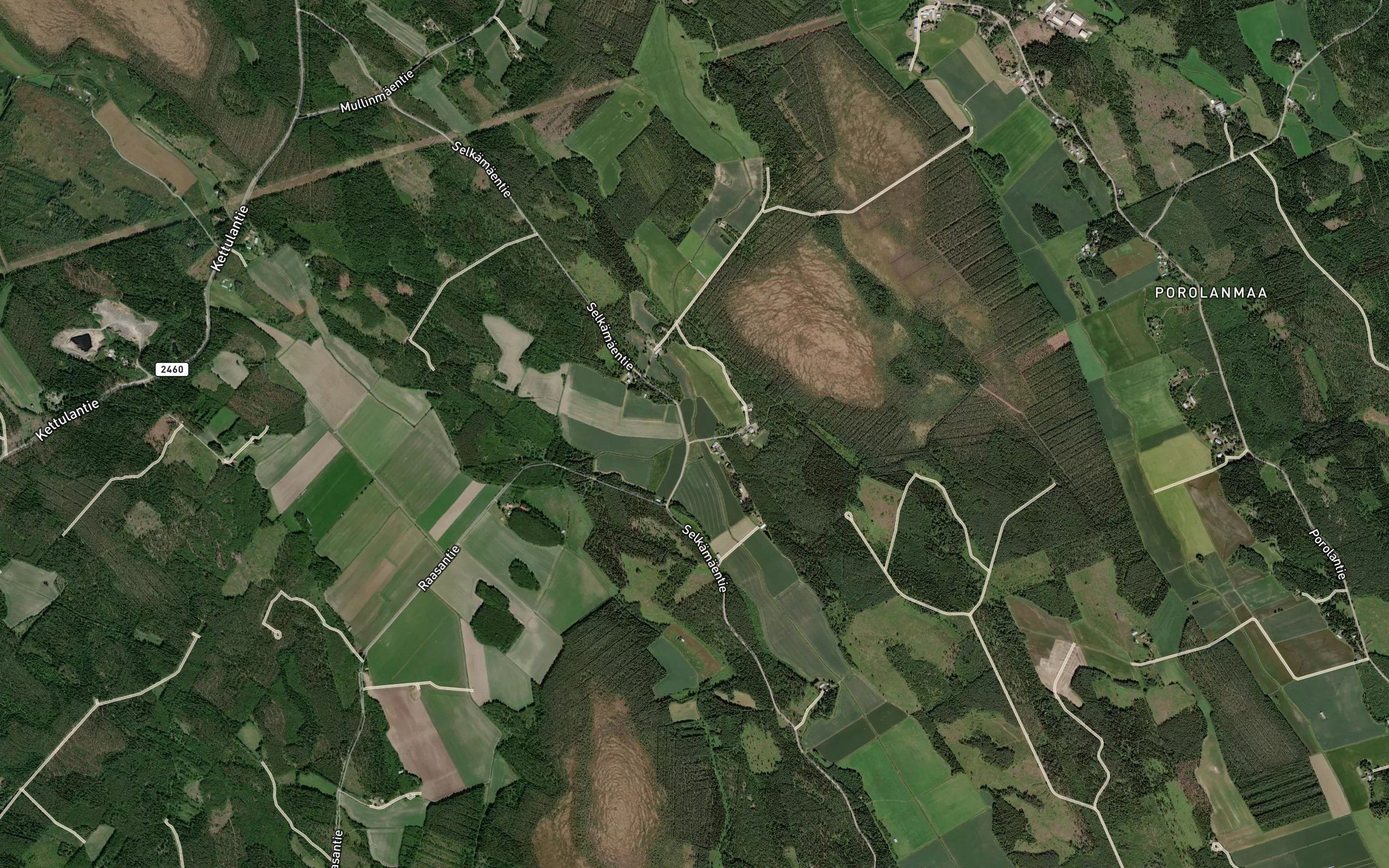 Alhonoja