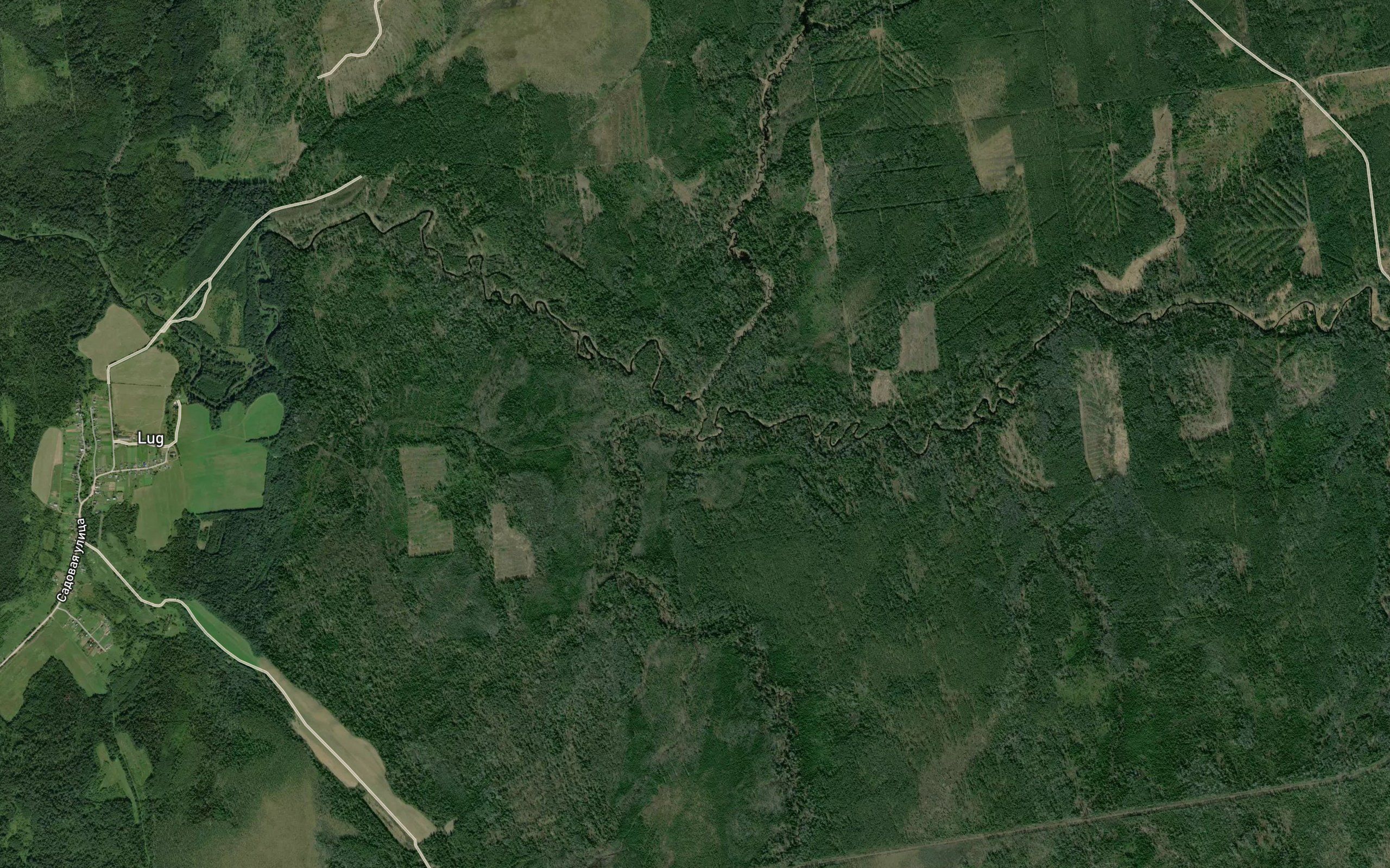 Plutna