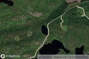 Svartetjodn