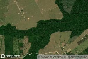 Igarape Repartimento