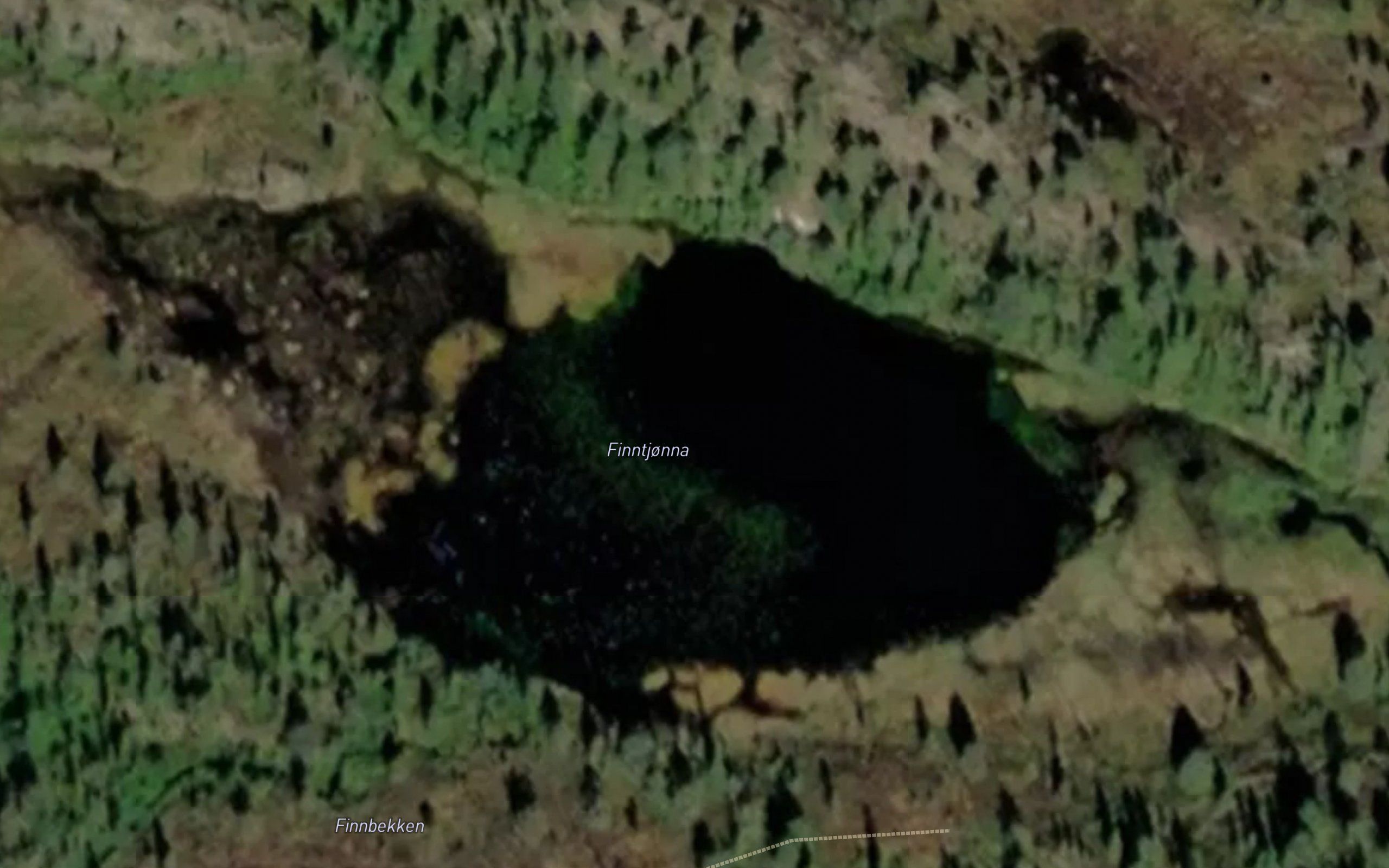 Finntjorn