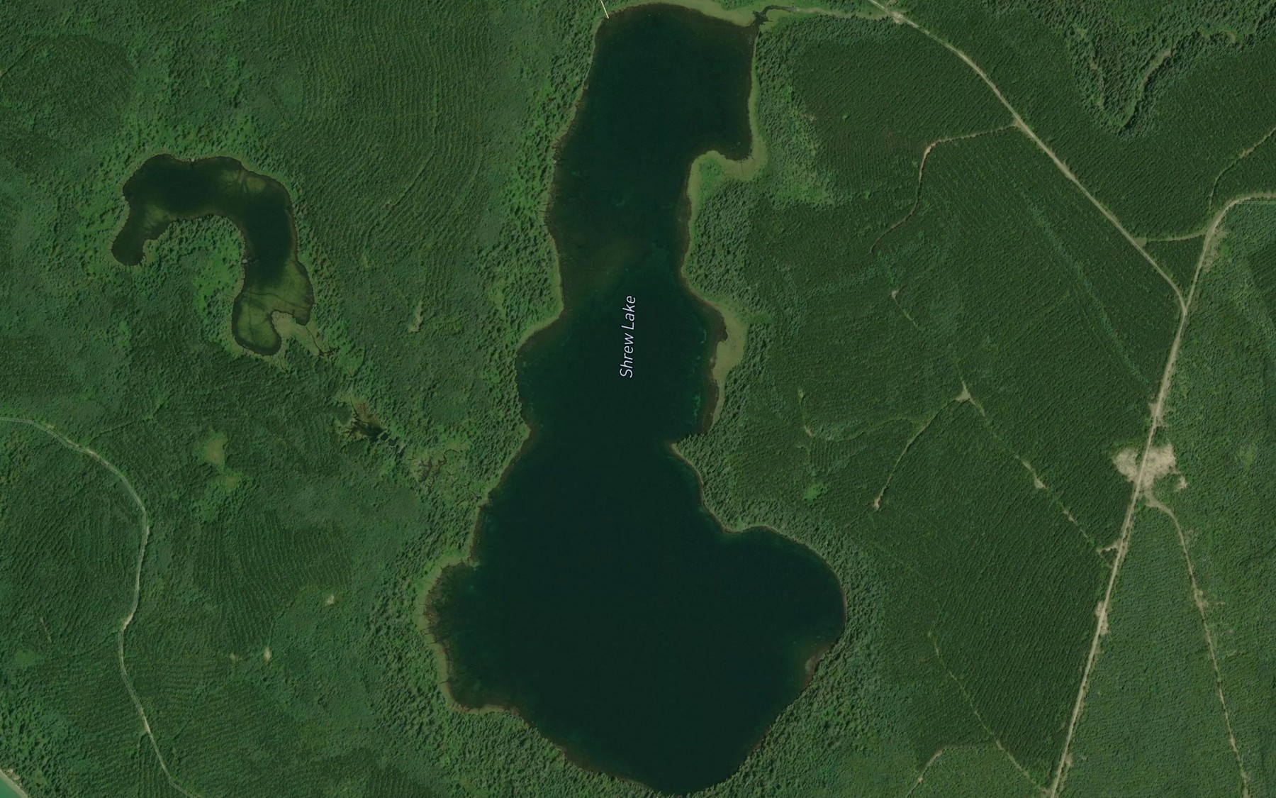 Satellite map of the Shrew Lake