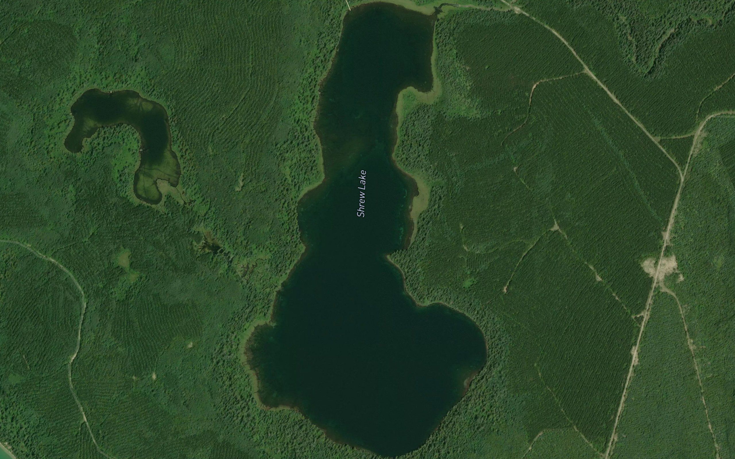Shrew Lake