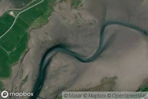 Skogsleira