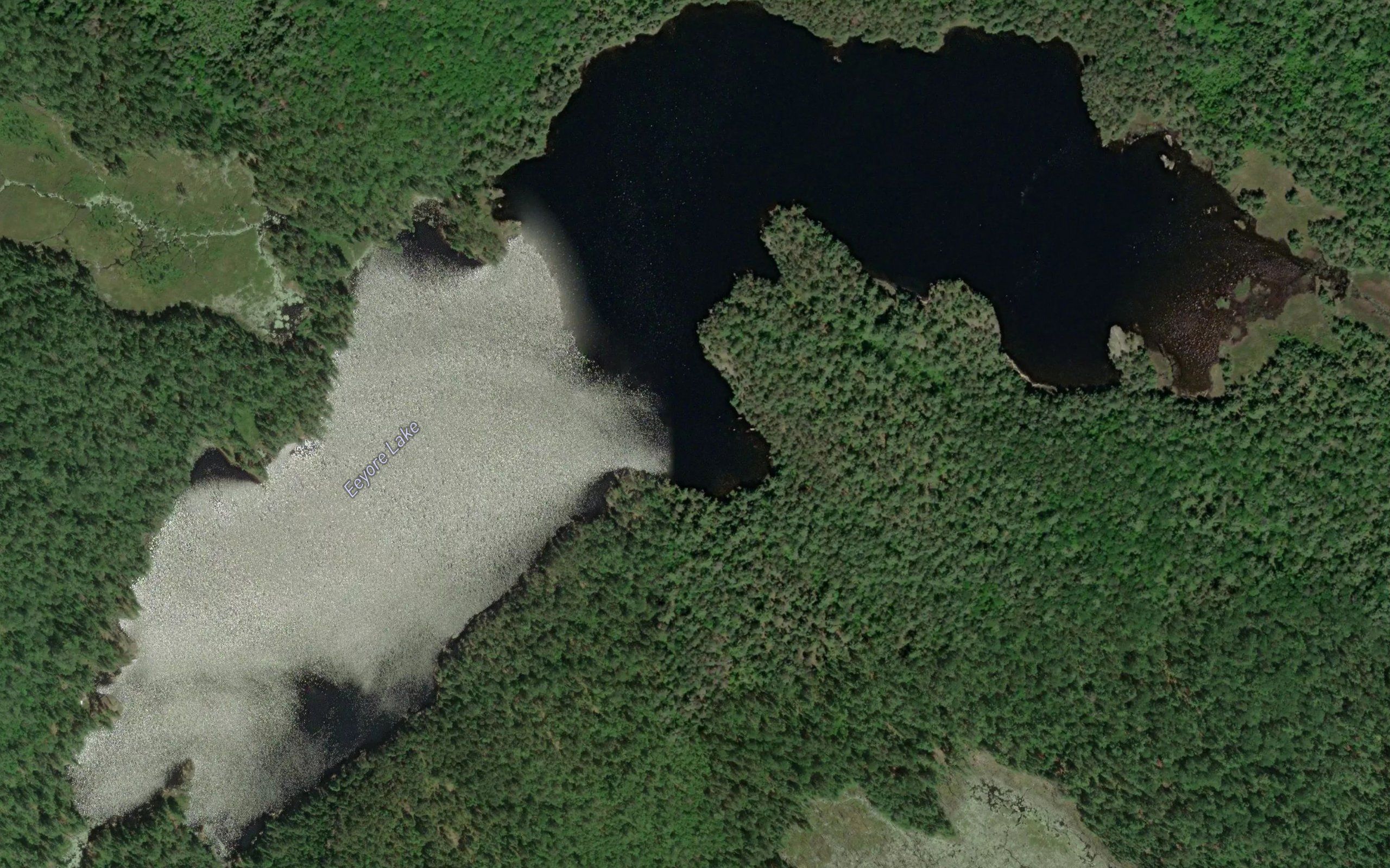 Eeyore Lake