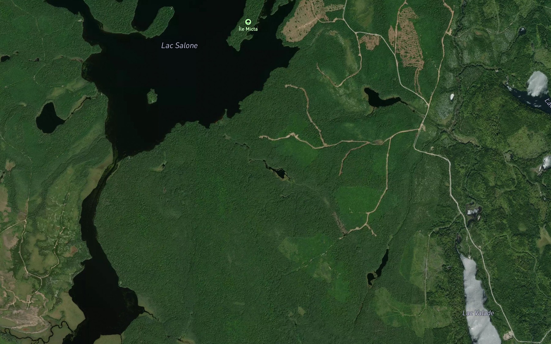 Satellite map of the Petit lac Nikikw